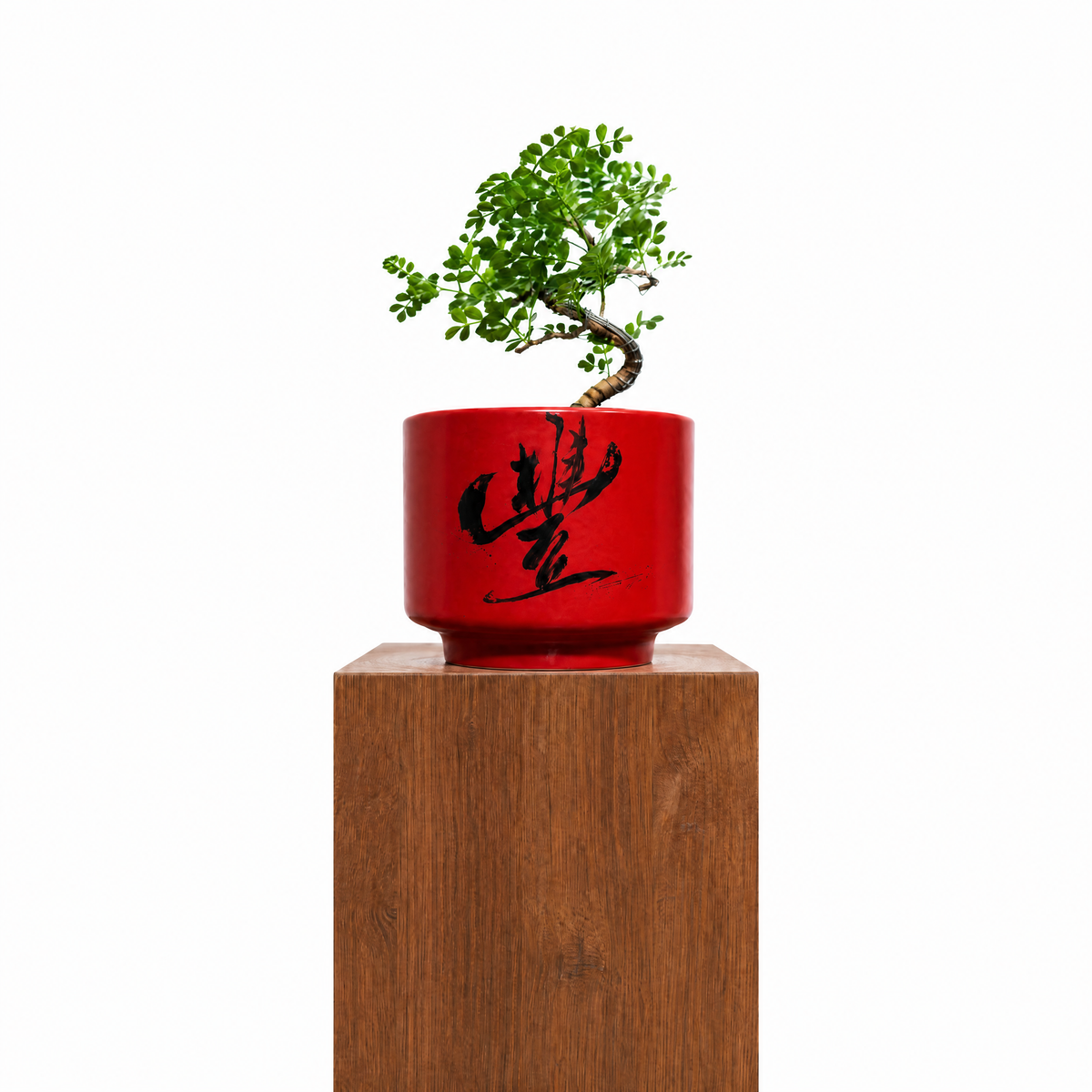 "豐 Fēng" Abundance — Limited Edition Mid-Autumn Haku