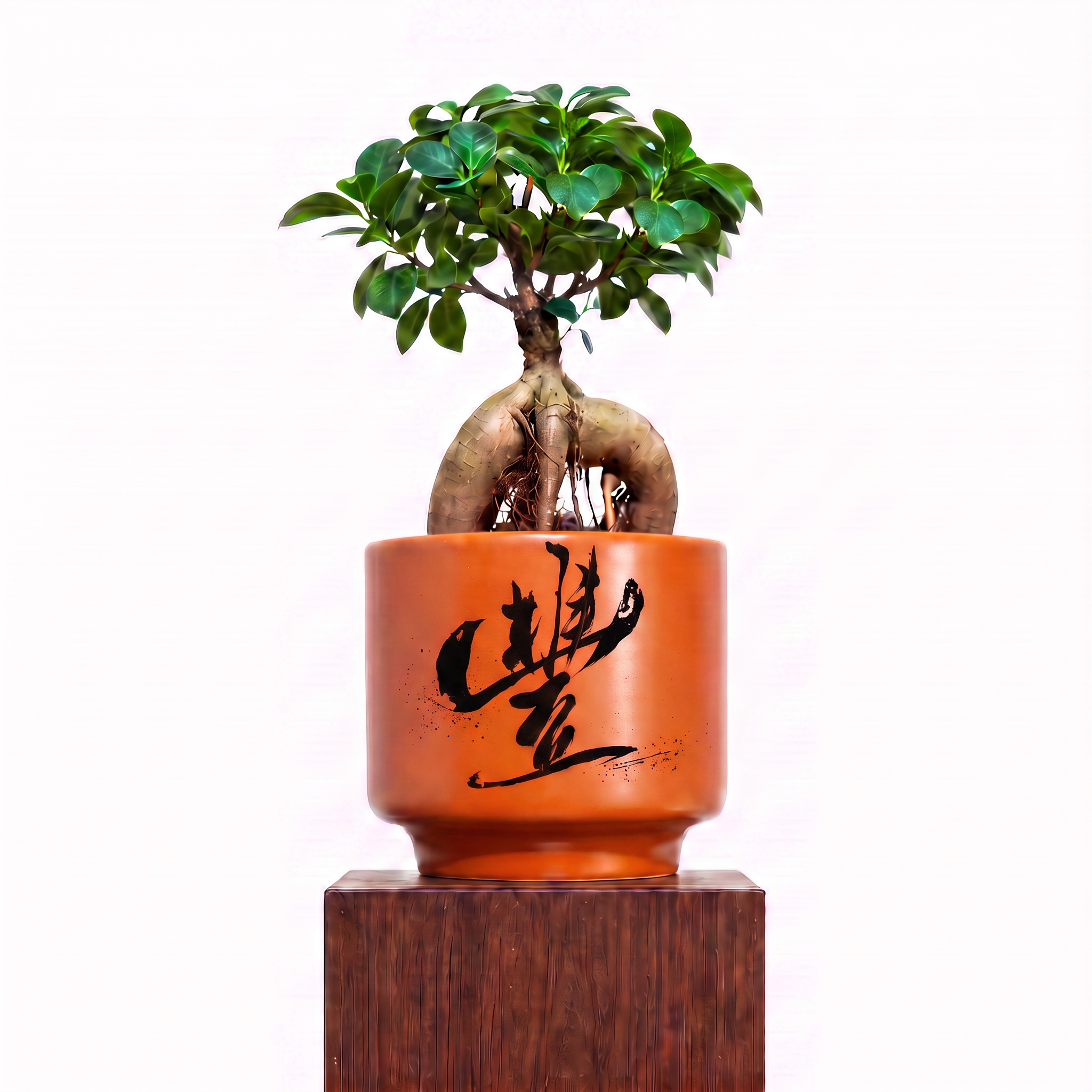 "豐 Fēng" Abundance — Limited Edition Mid-Autumn Haku