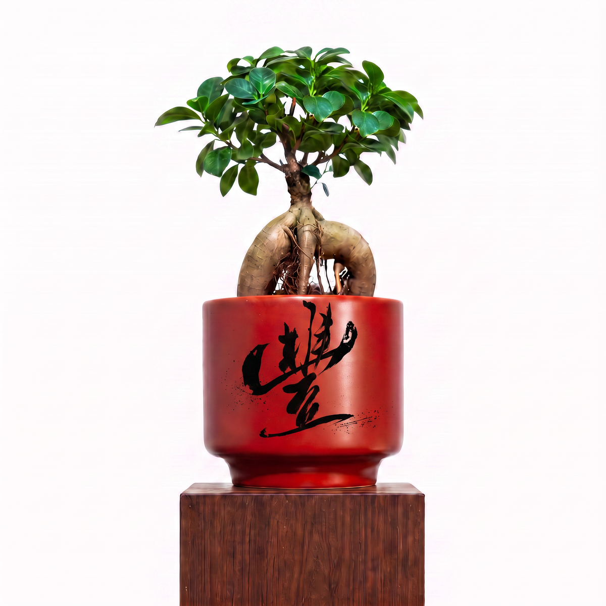 "豐 Fēng" Abundance — Limited Edition Mid-Autumn Haku