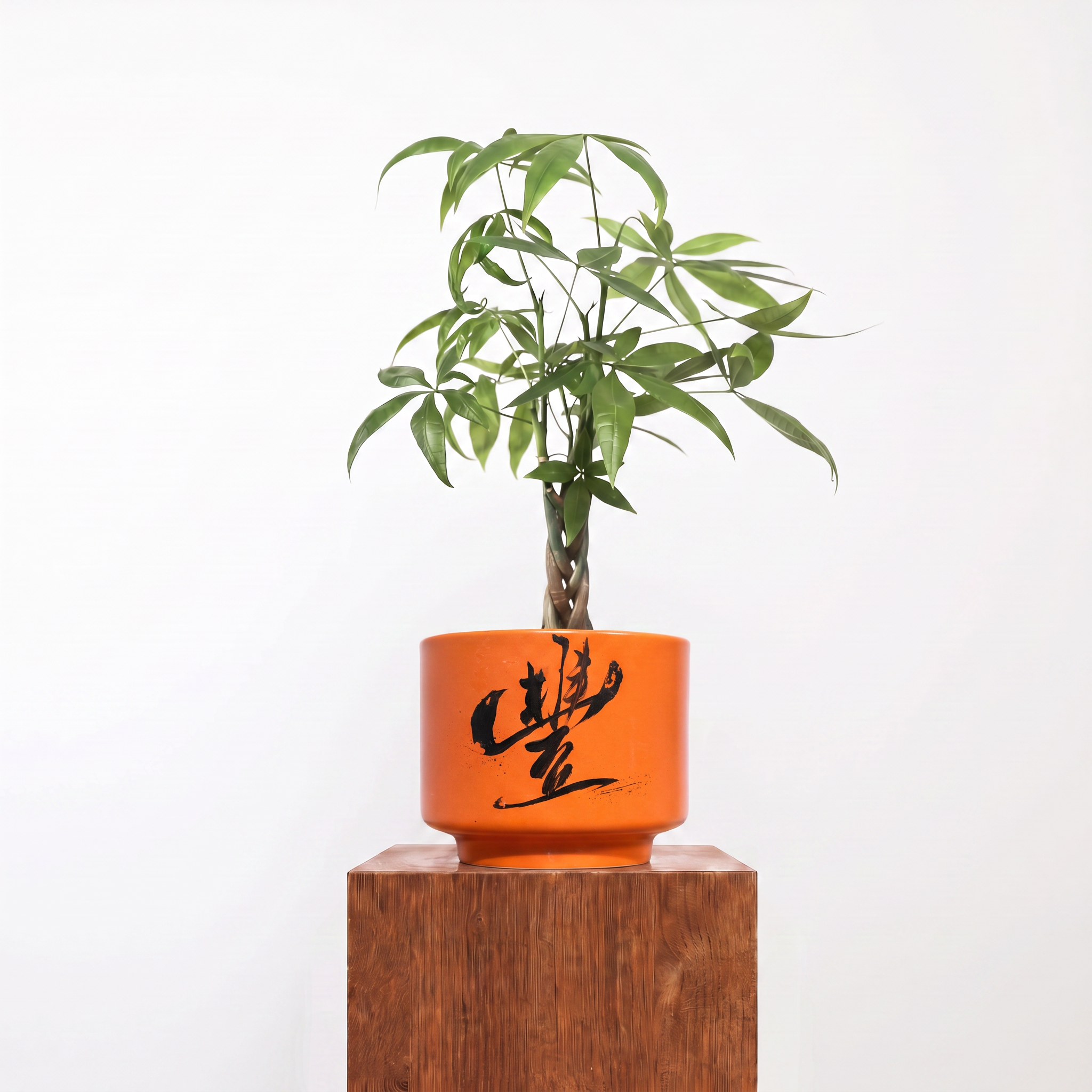 "豐 Fēng" Abundance — Limited Edition Mid-Autumn Haku