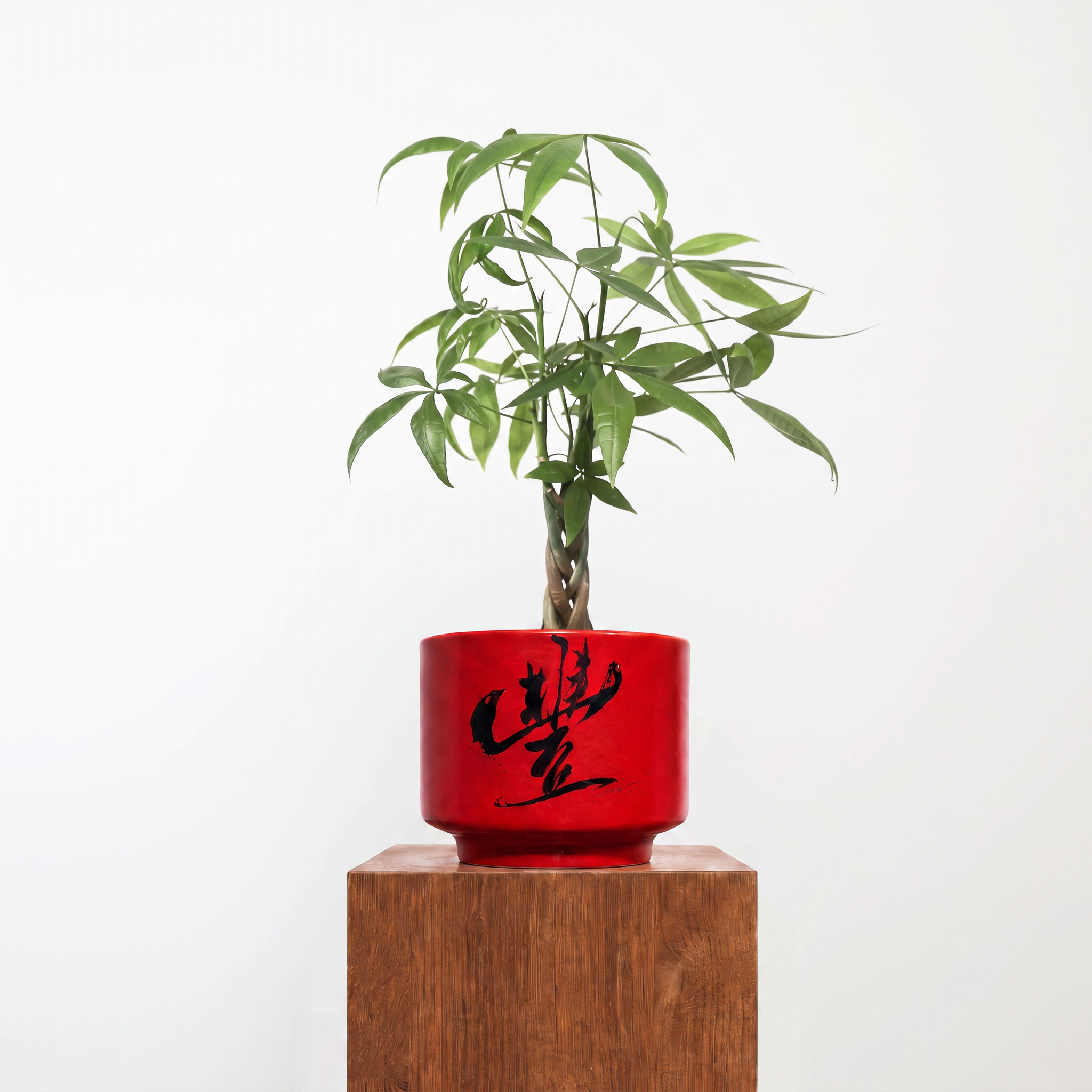 "豐 Fēng" Abundance — Limited Edition Mid-Autumn Haku