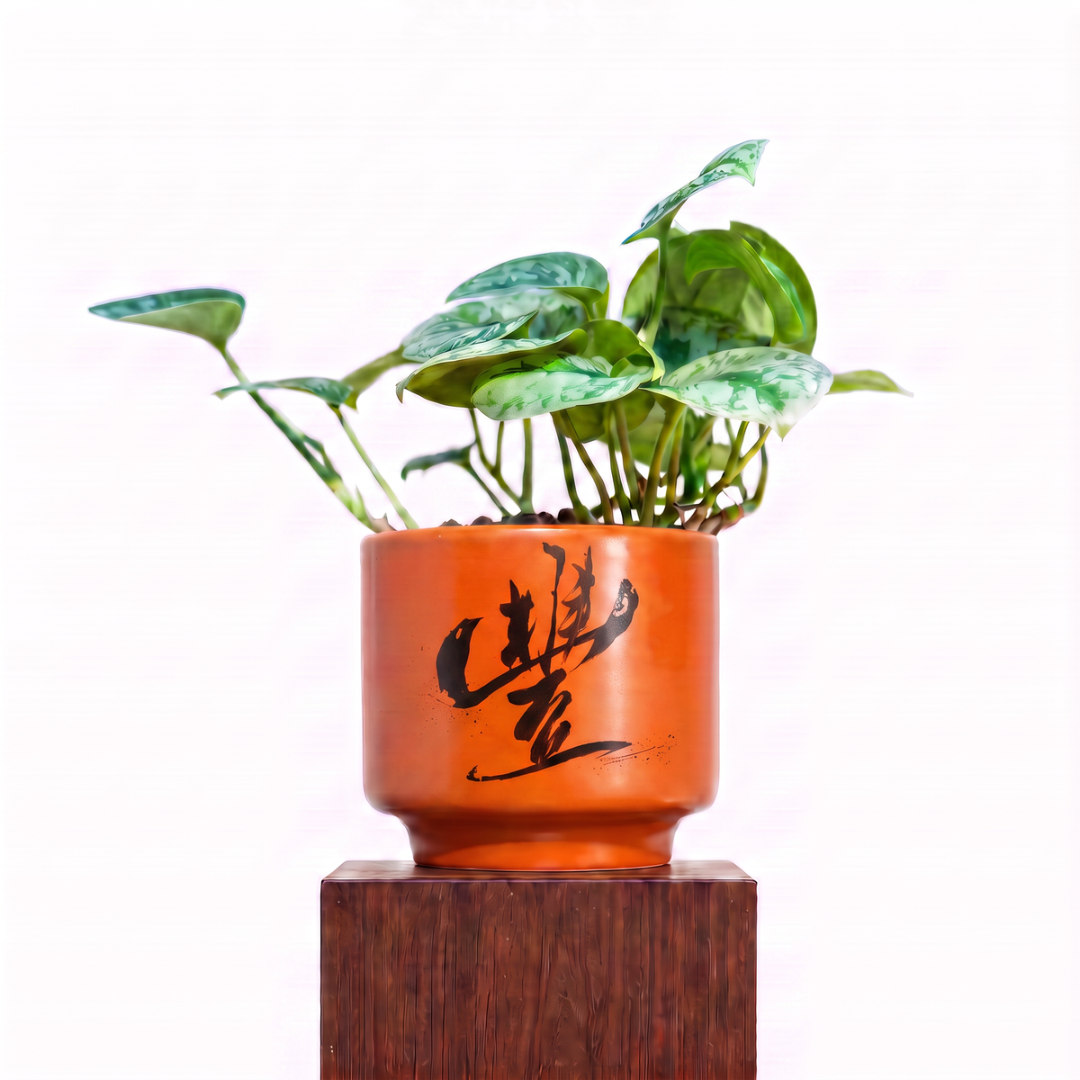 "豐 Fēng" Abundance — Limited Edition Mid-Autumn Haku