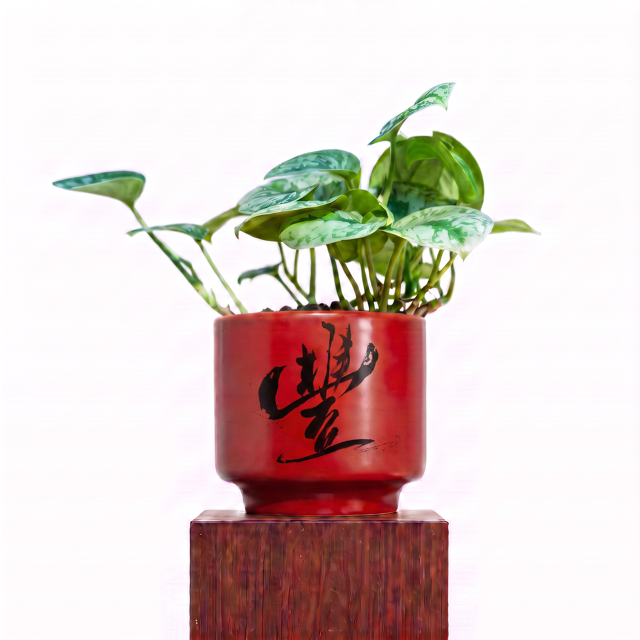 "豐 Fēng" Abundance — Limited Edition Mid-Autumn Haku