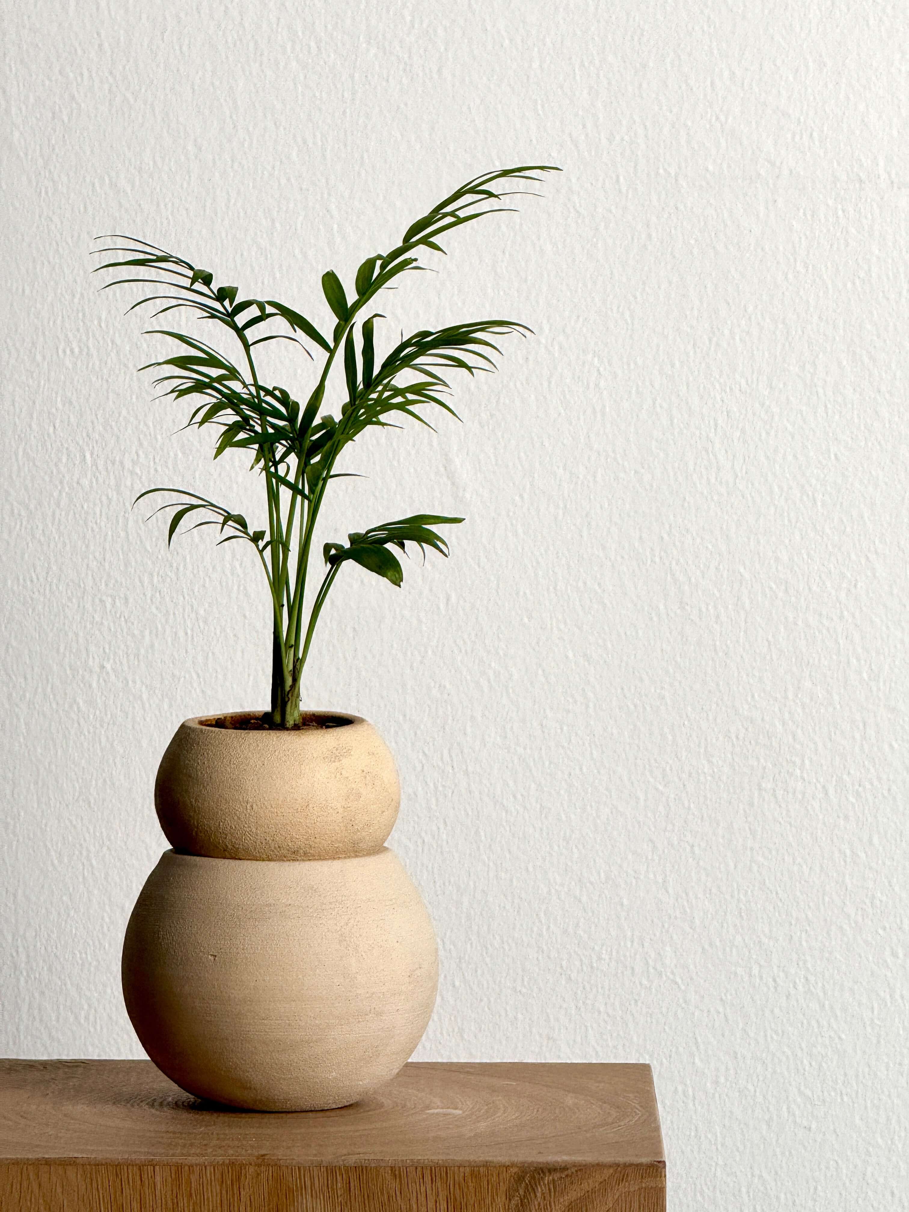 Tsuchi Planter