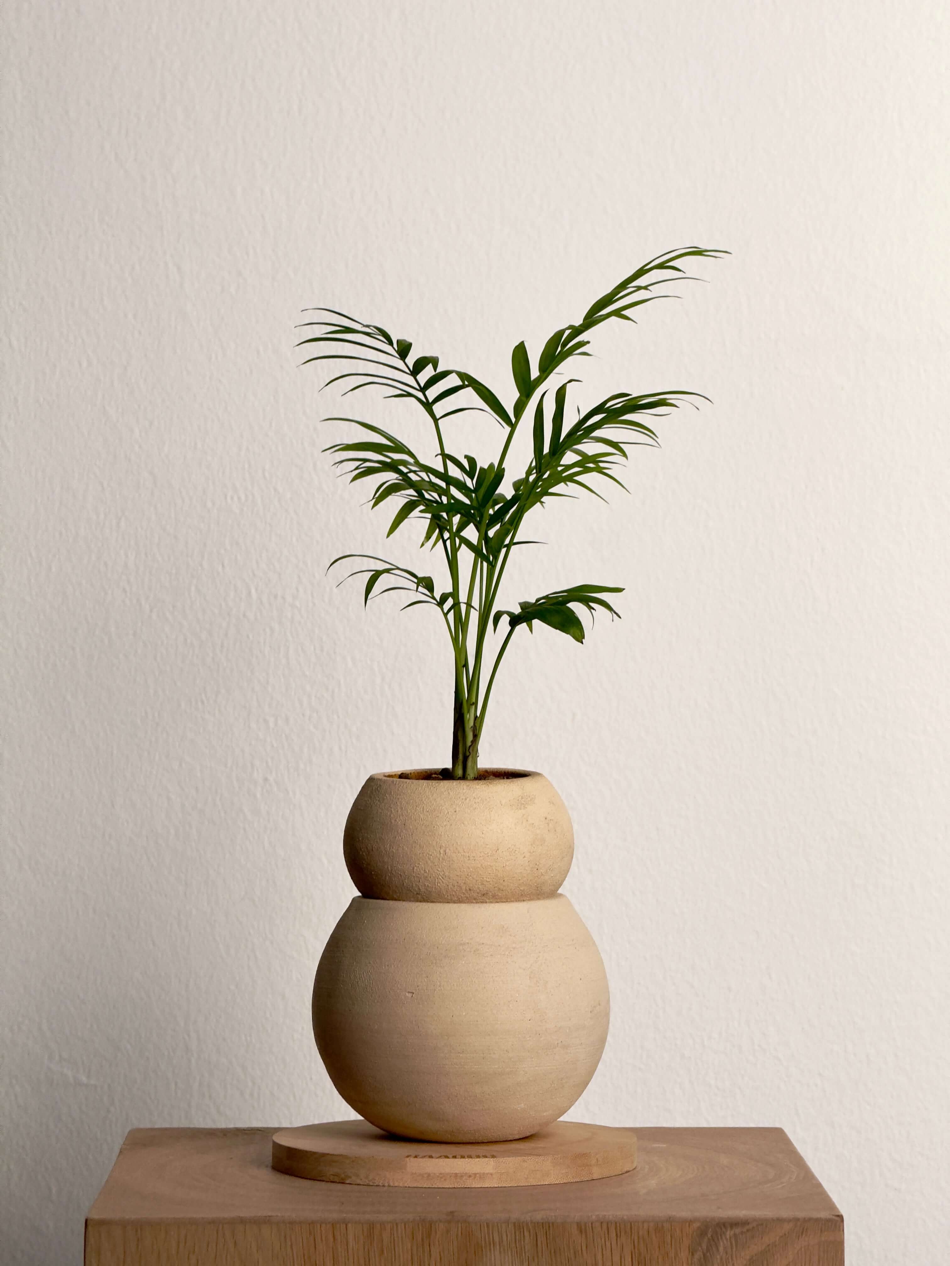 Tsuchi Planter