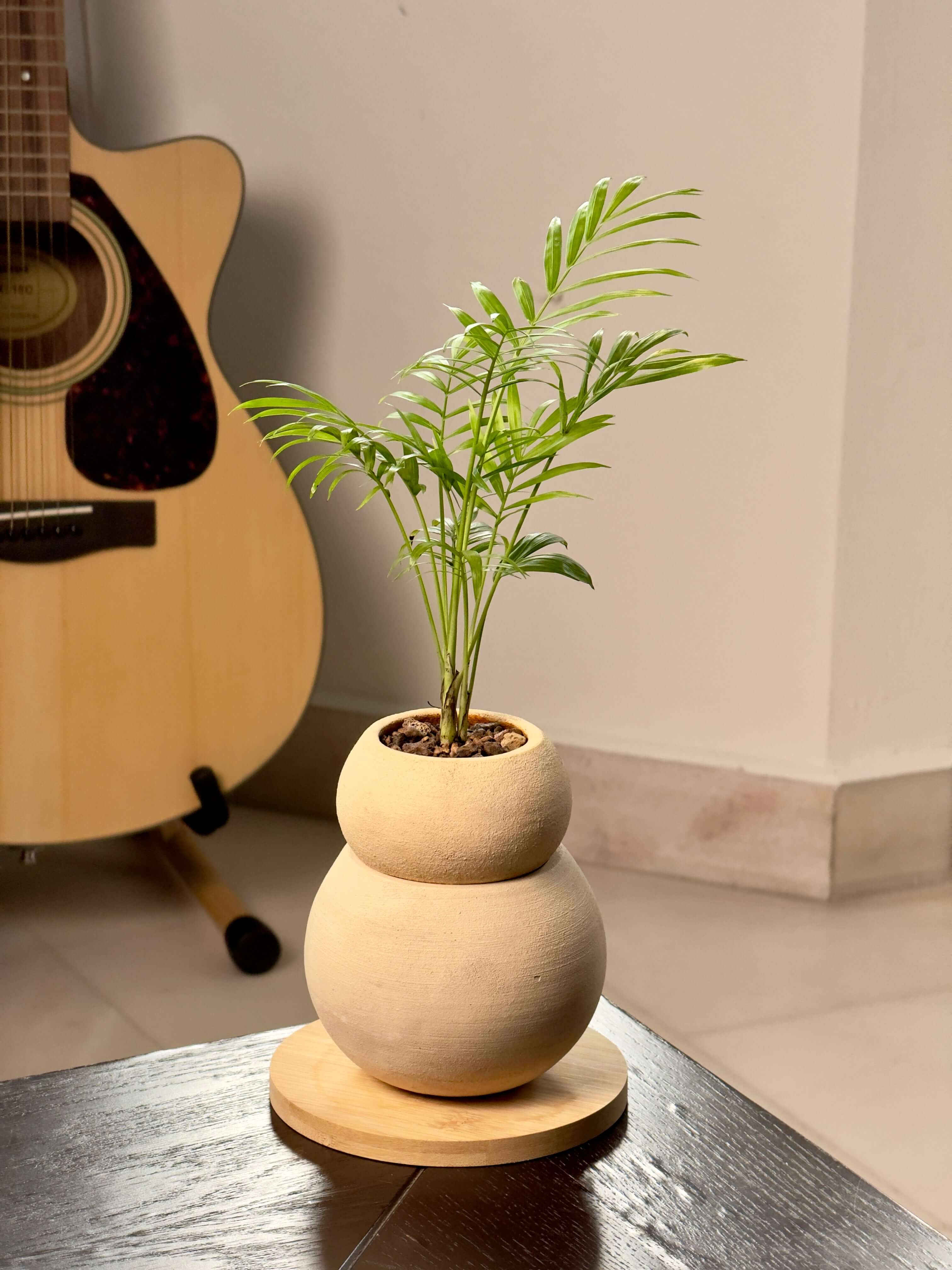 Tsuchi Planter