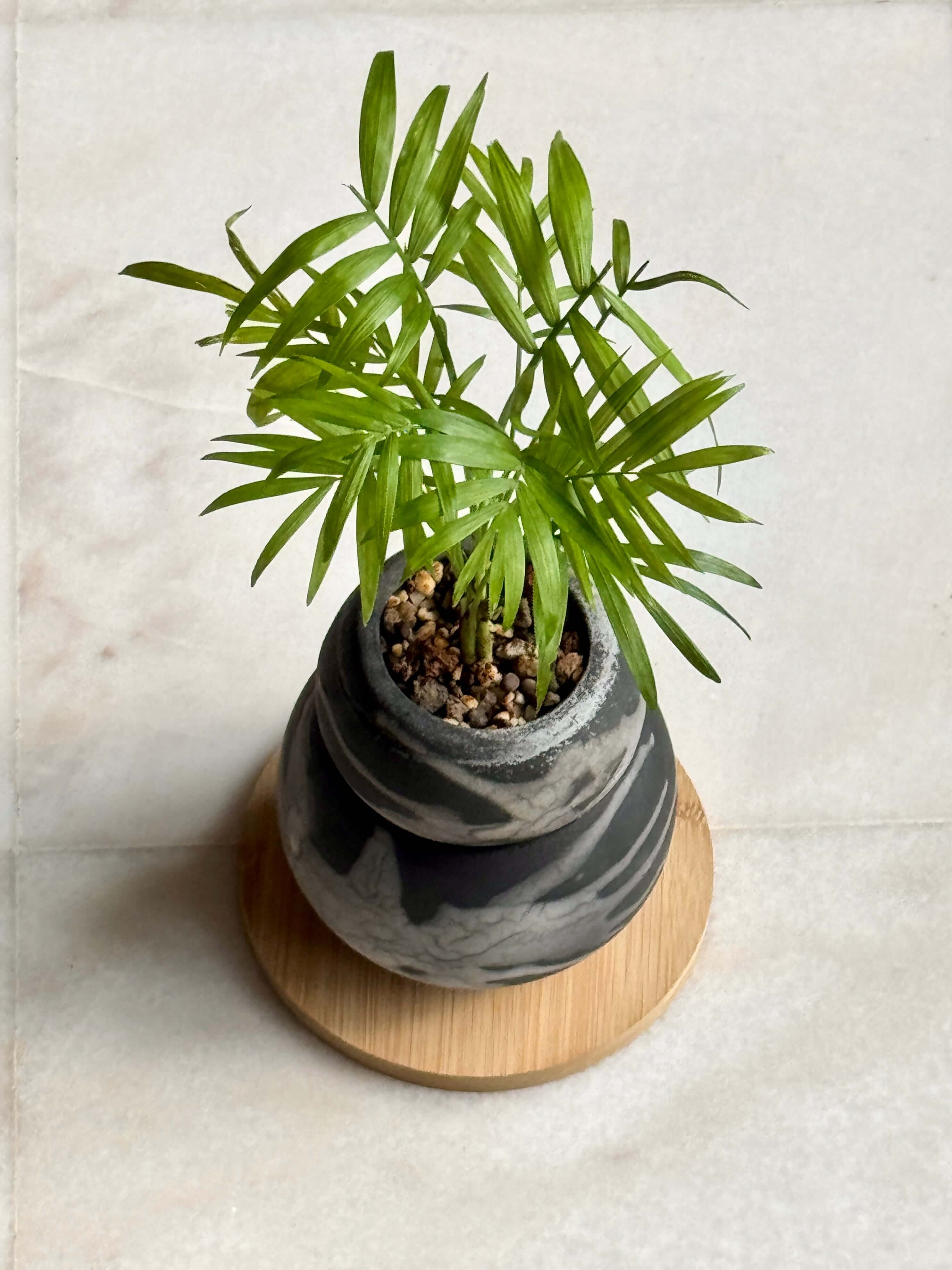 Tsuchi Planter