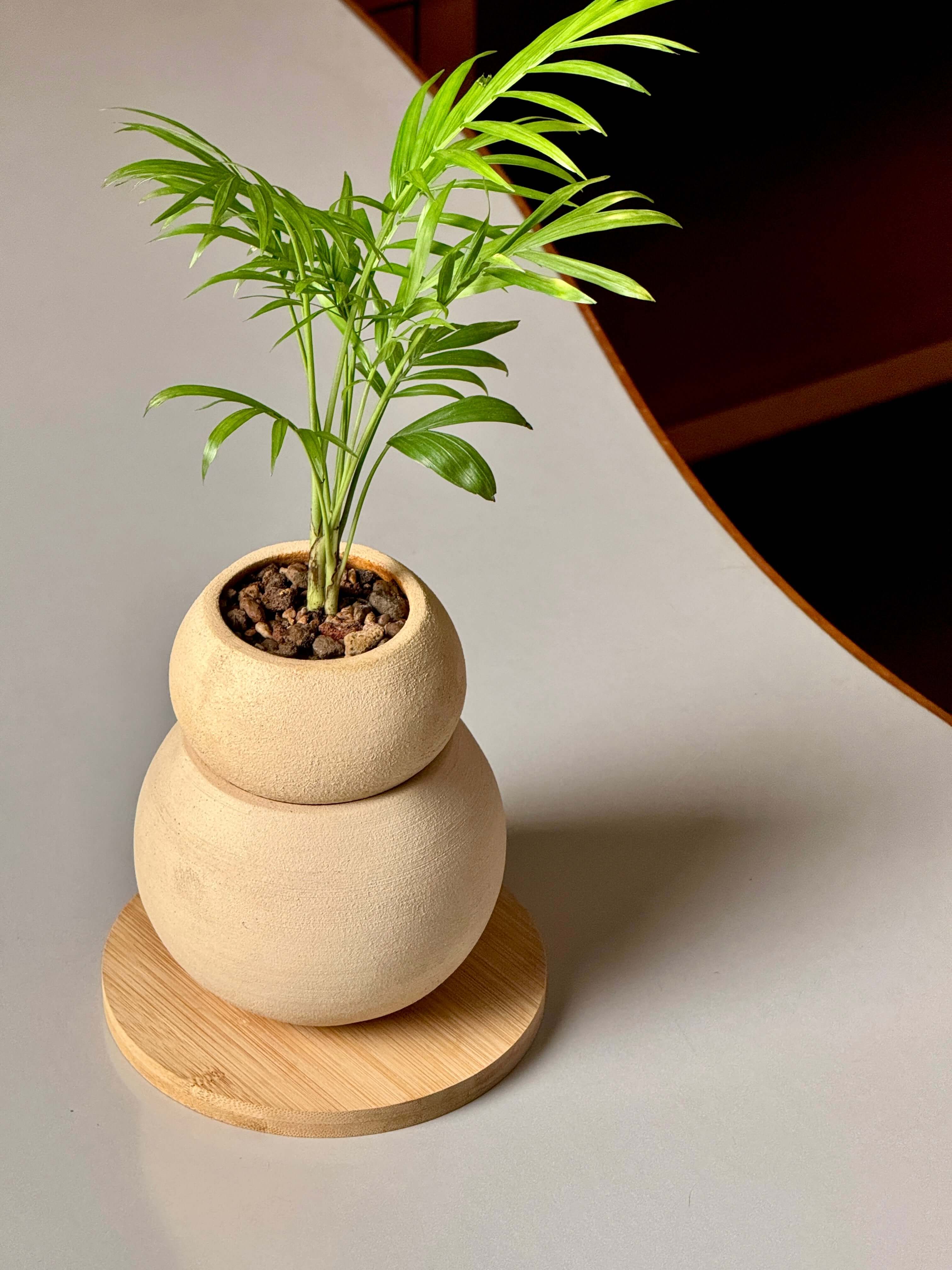 Tsuchi Planter