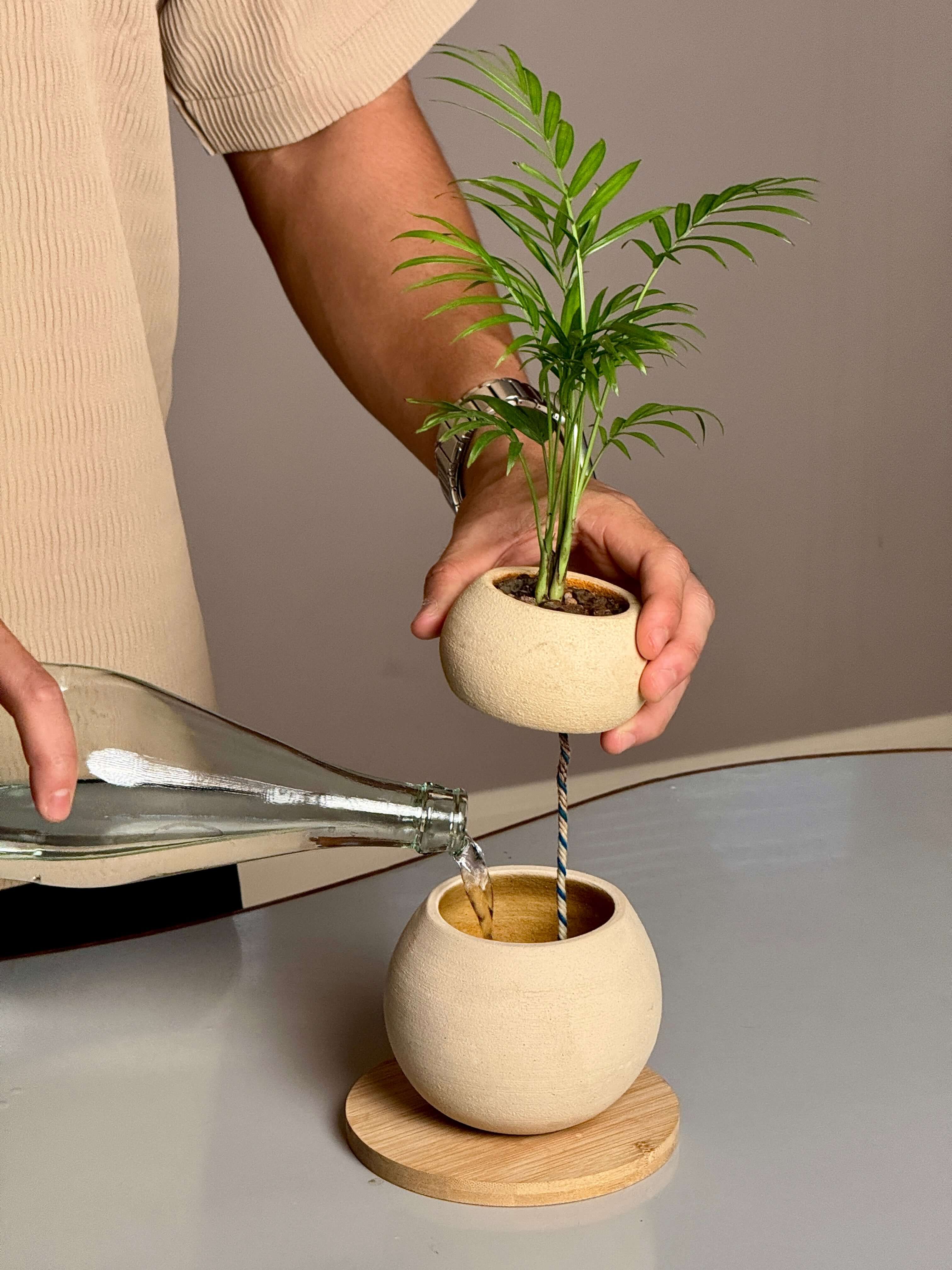 Tsuchi Planter