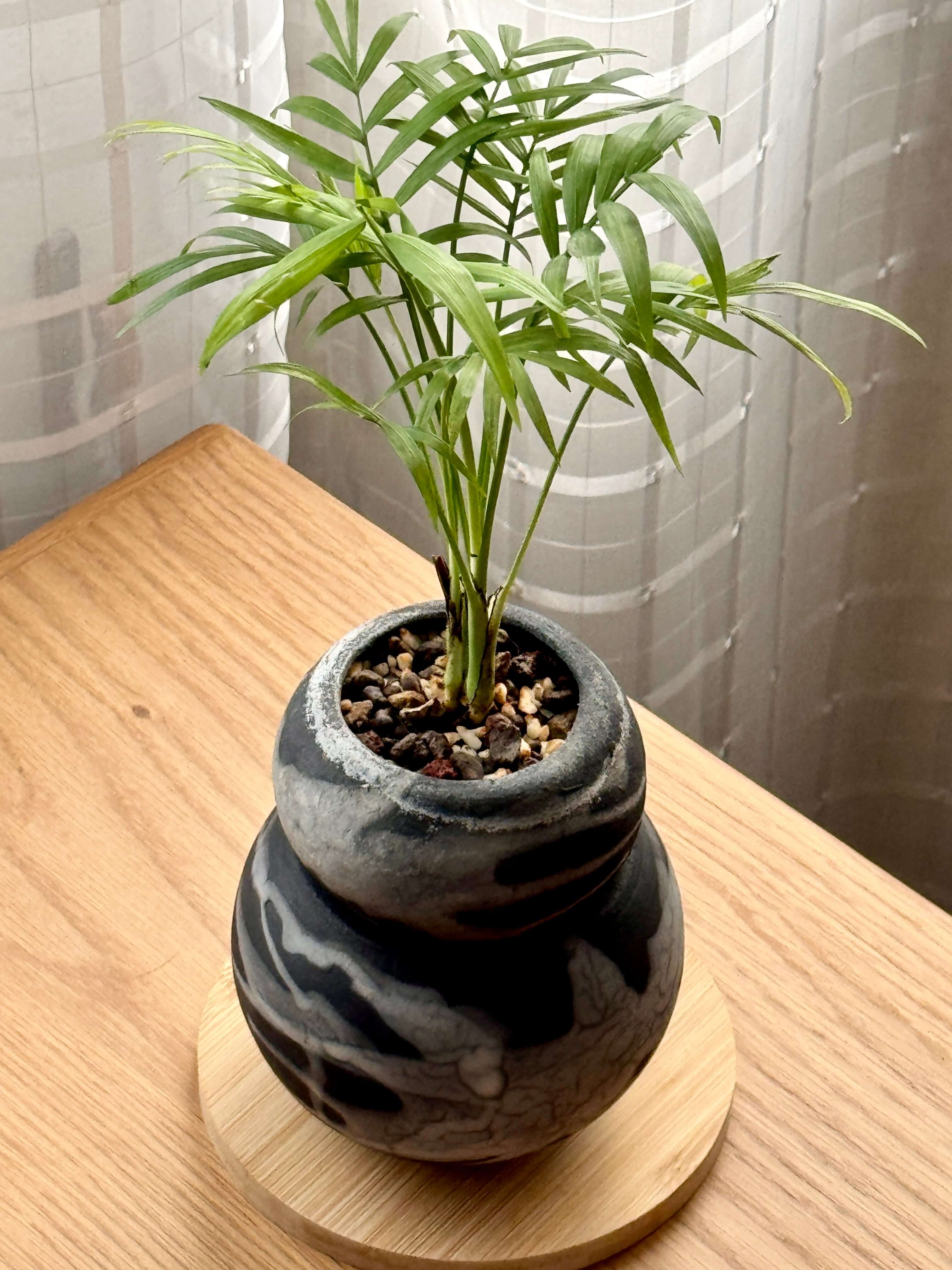 Tsuchi Planter