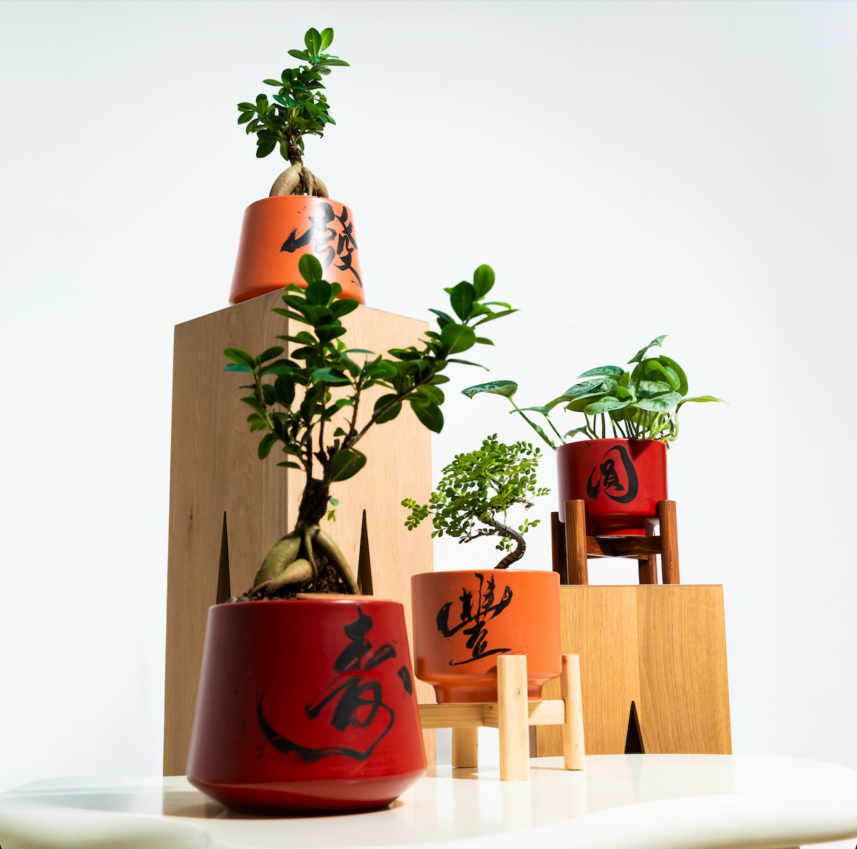 "圓 Yuán" Reunion — Limited Edition Mid-Autumn Haku