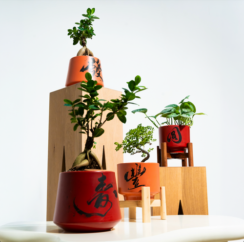 "圓 Yuán" Reunion — Limited Edition Mid-Autumn Haku
