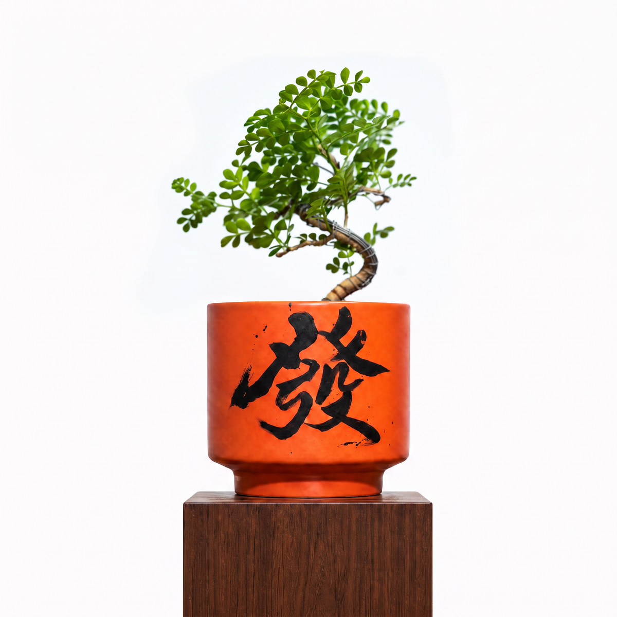 "發 Huat" Prosperity — Limited Edition Mid-Autumn Haku