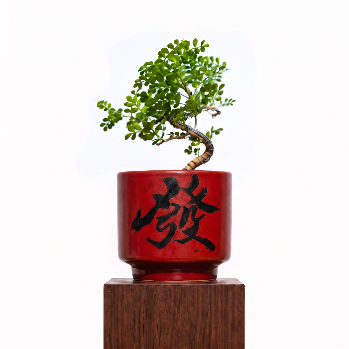 "發 Huat" Prosperity — Limited Edition Mid-Autumn Haku