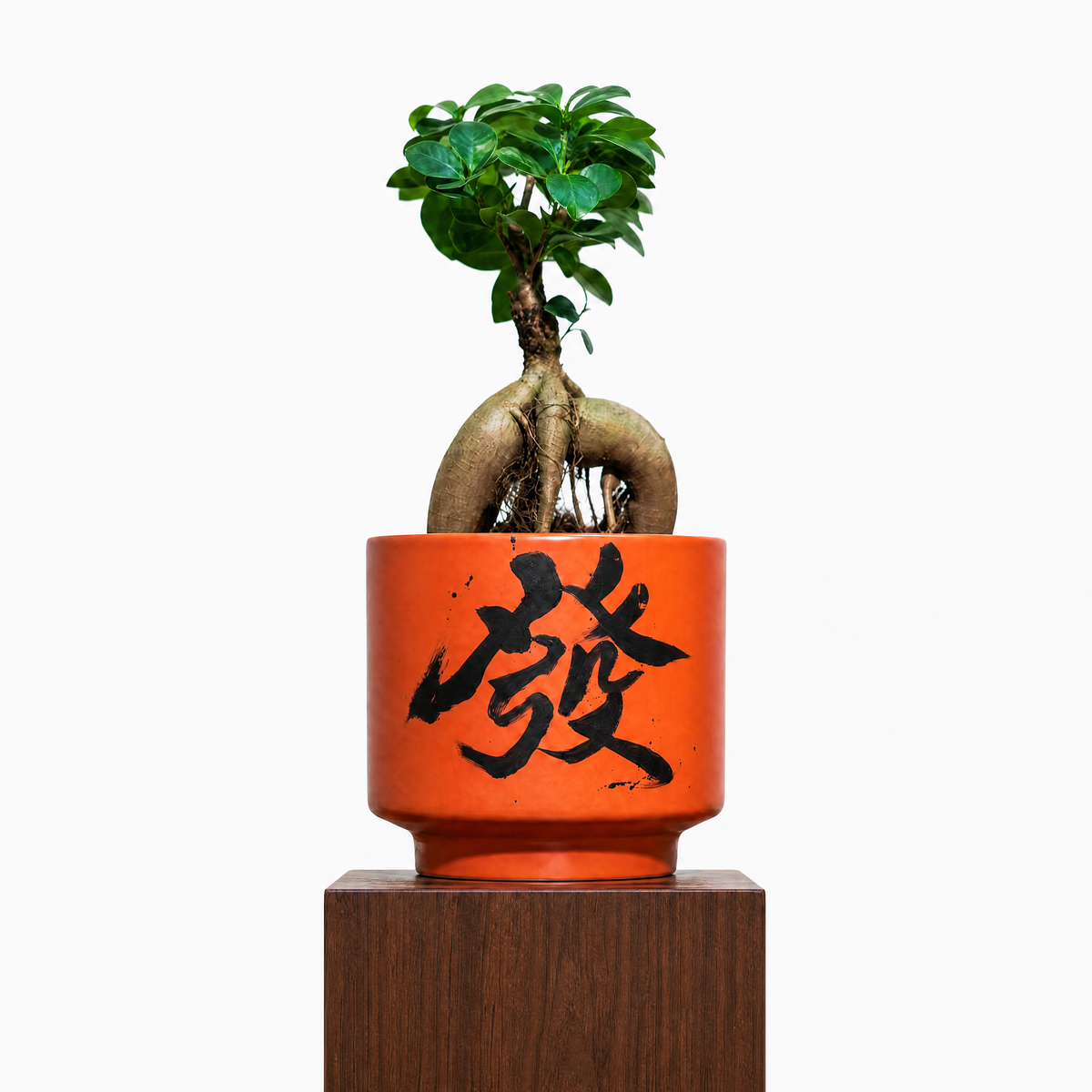 "發 Huat" Prosperity — Limited Edition Mid-Autumn Haku