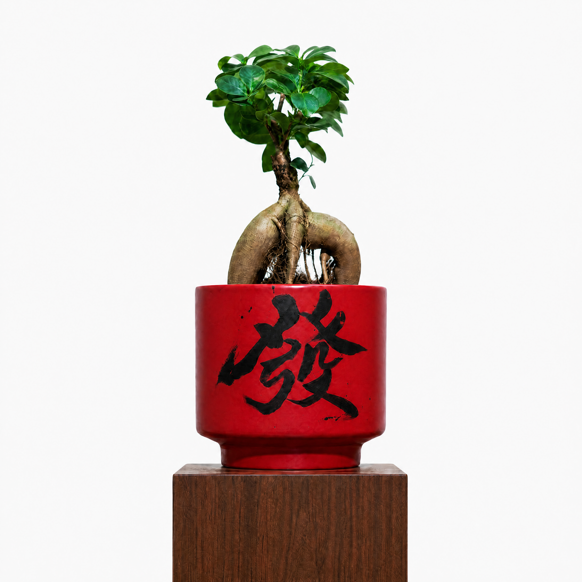 "發 Huat" Prosperity — Limited Edition Mid-Autumn Haku