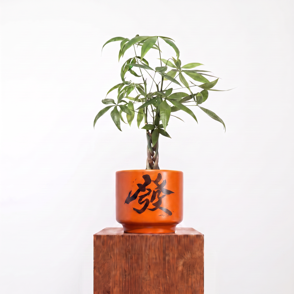 "發 Huat" Prosperity — Limited Edition Mid-Autumn Haku