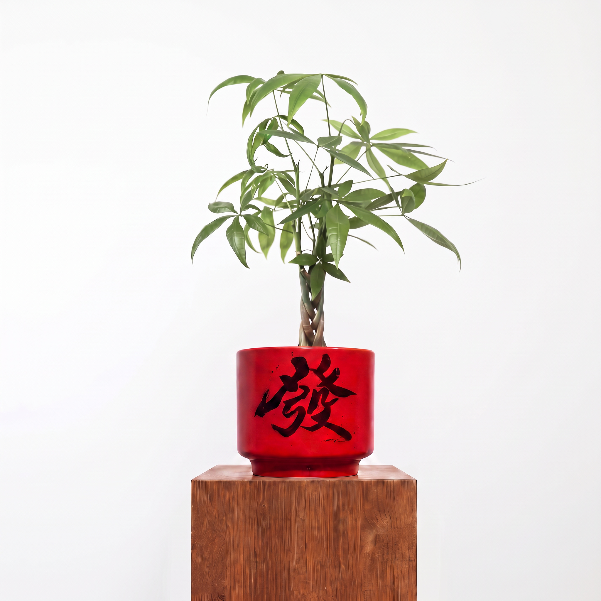 "發 Huat" Prosperity — Limited Edition Mid-Autumn Haku
