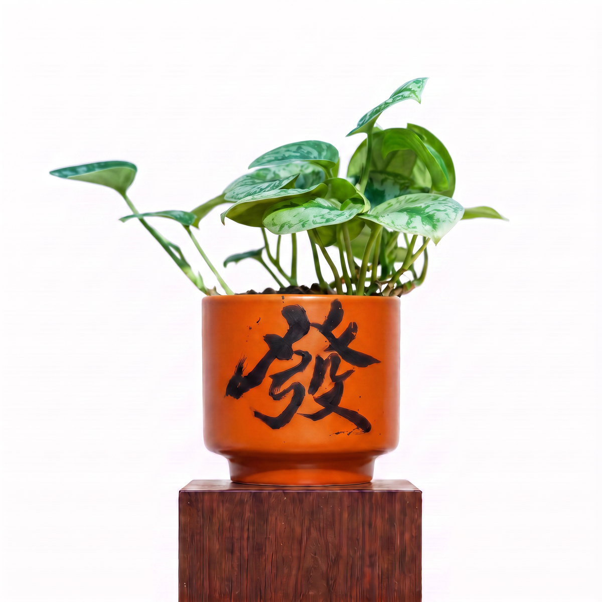 "發 Huat" Prosperity — Limited Edition Mid-Autumn Haku