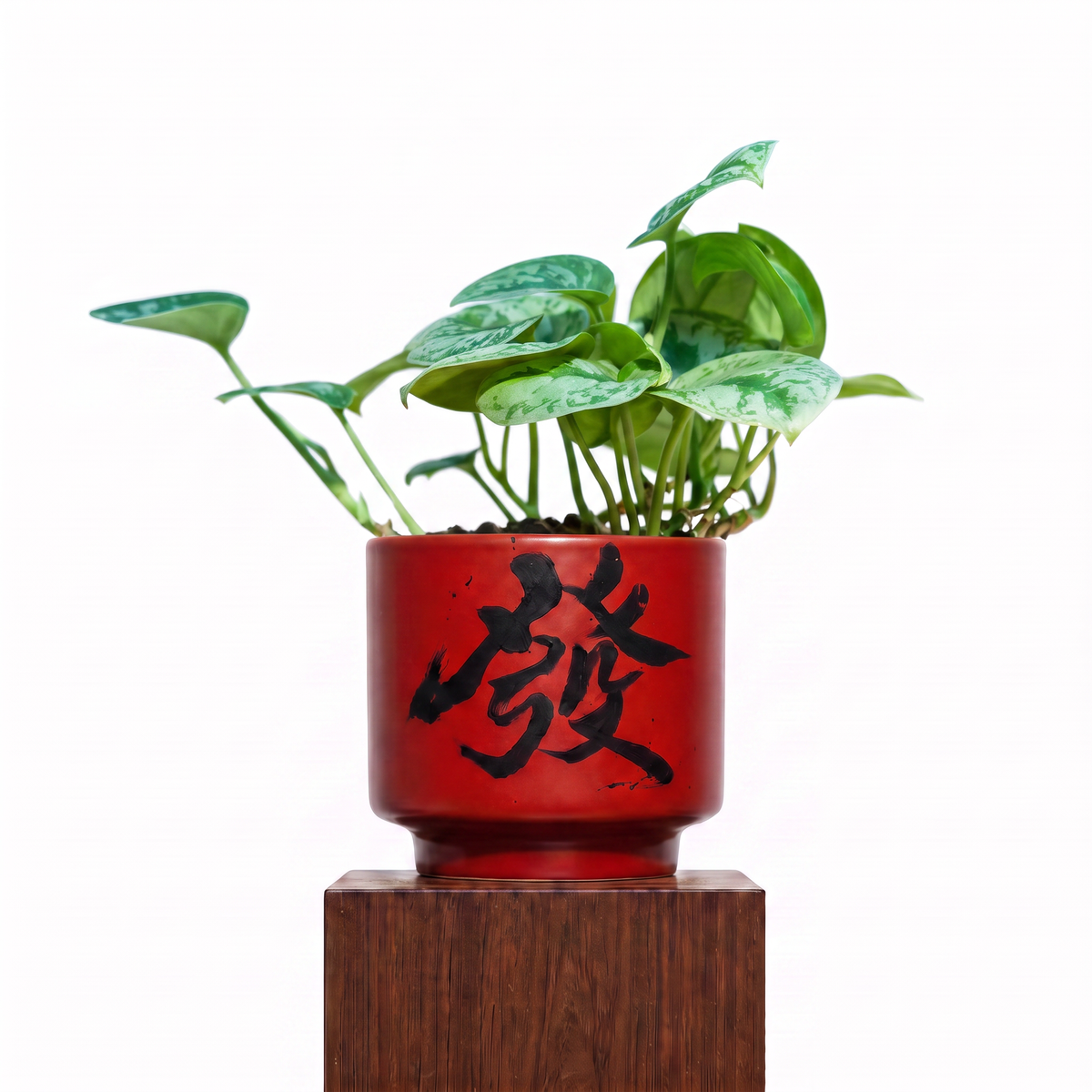 "發 Huat" Prosperity — Limited Edition Mid-Autumn Haku