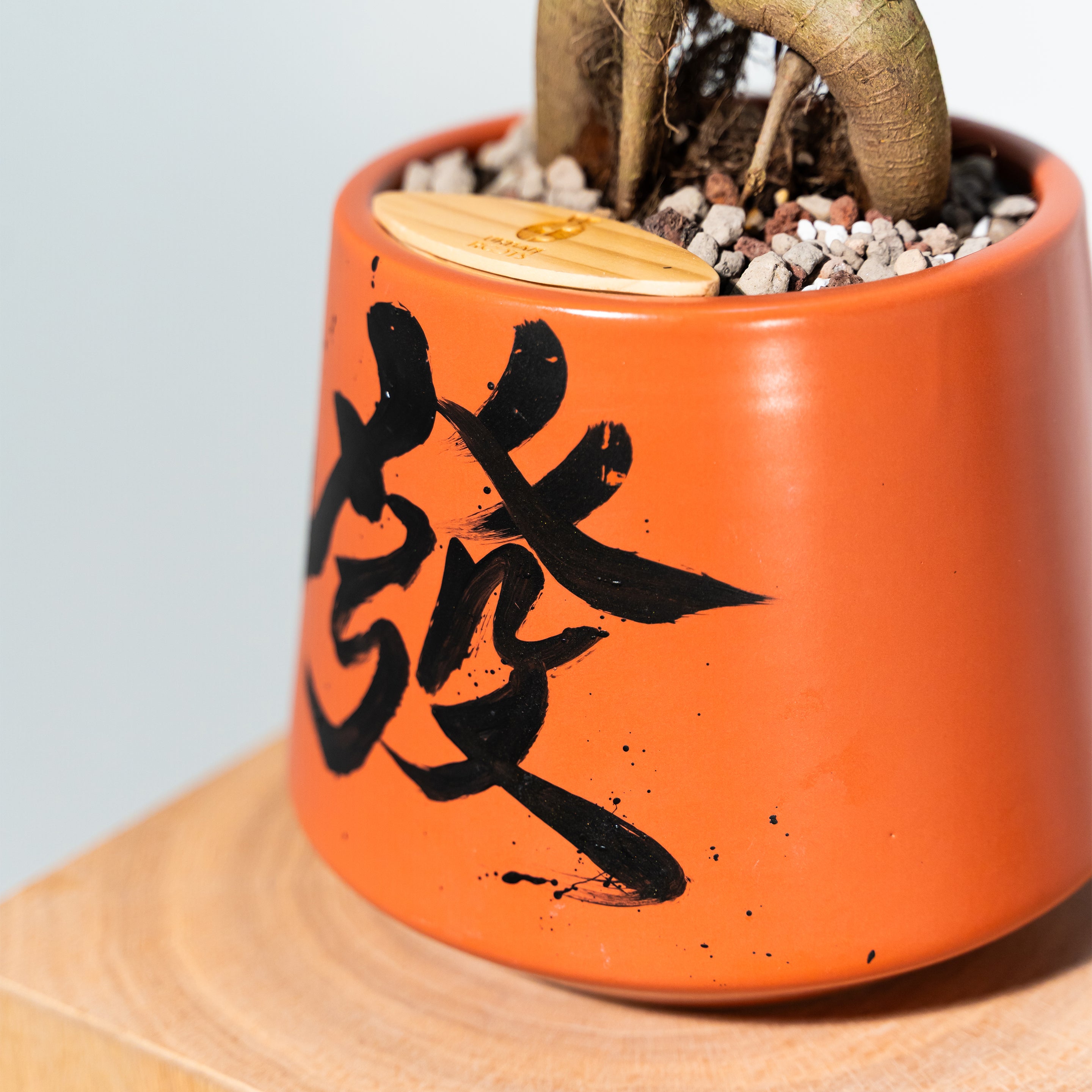 "發 Huat" Prosperity — Limited Edition Mid-Autumn Haku