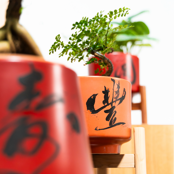 "豐 Fēng" Abundance — Limited Edition Mid-Autumn Haku