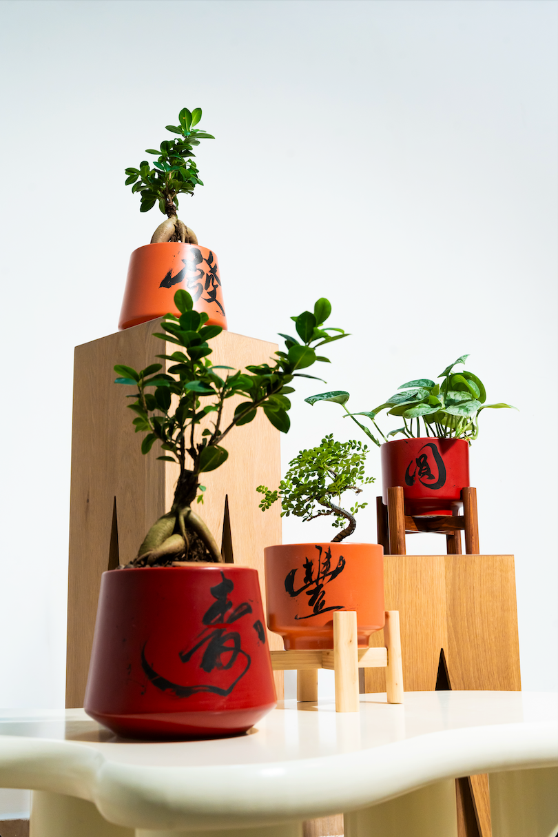 "豐 Fēng" Abundance — Limited Edition Mid-Autumn Haku