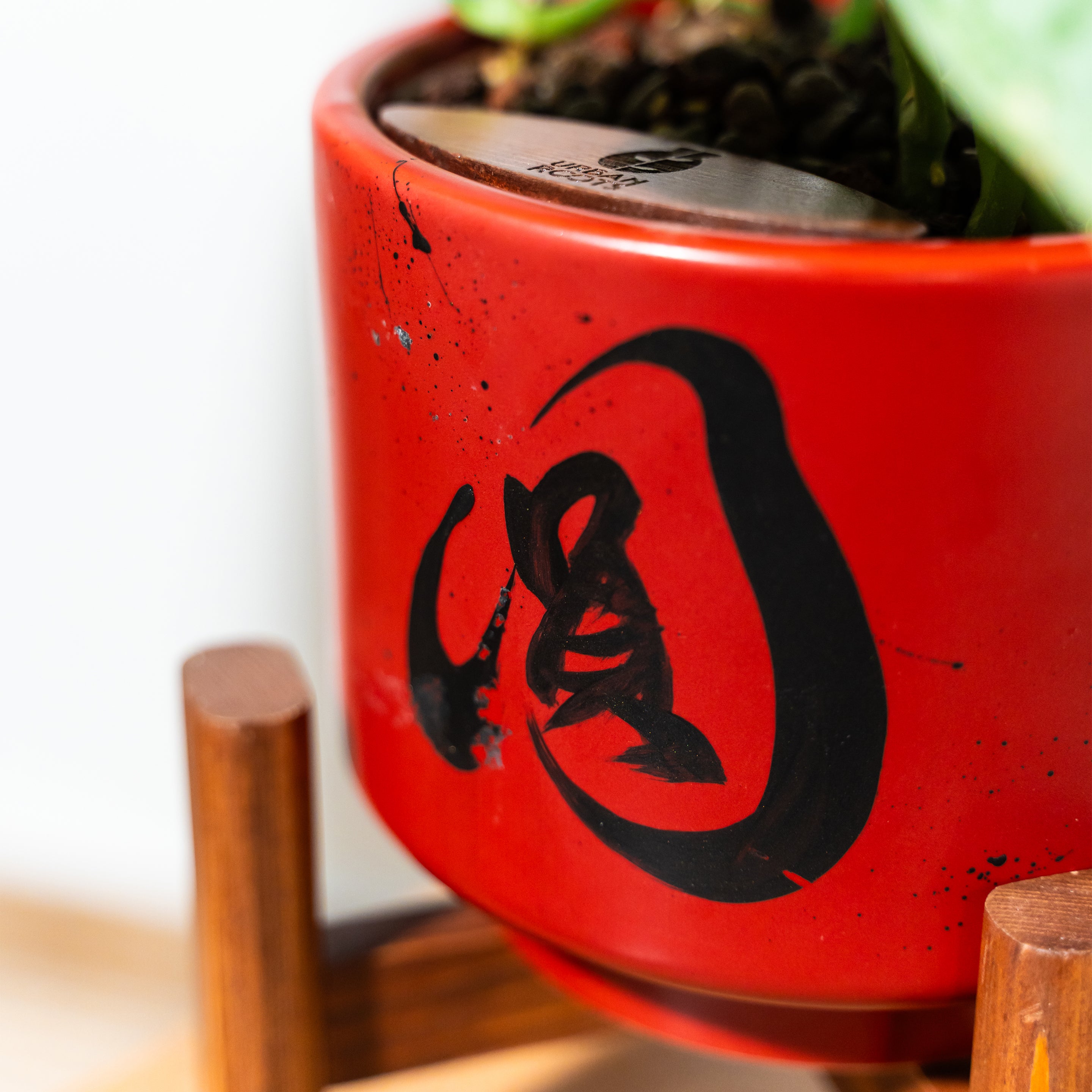 "圓 Yuán" Reunion — Limited Edition Mid-Autumn Haku