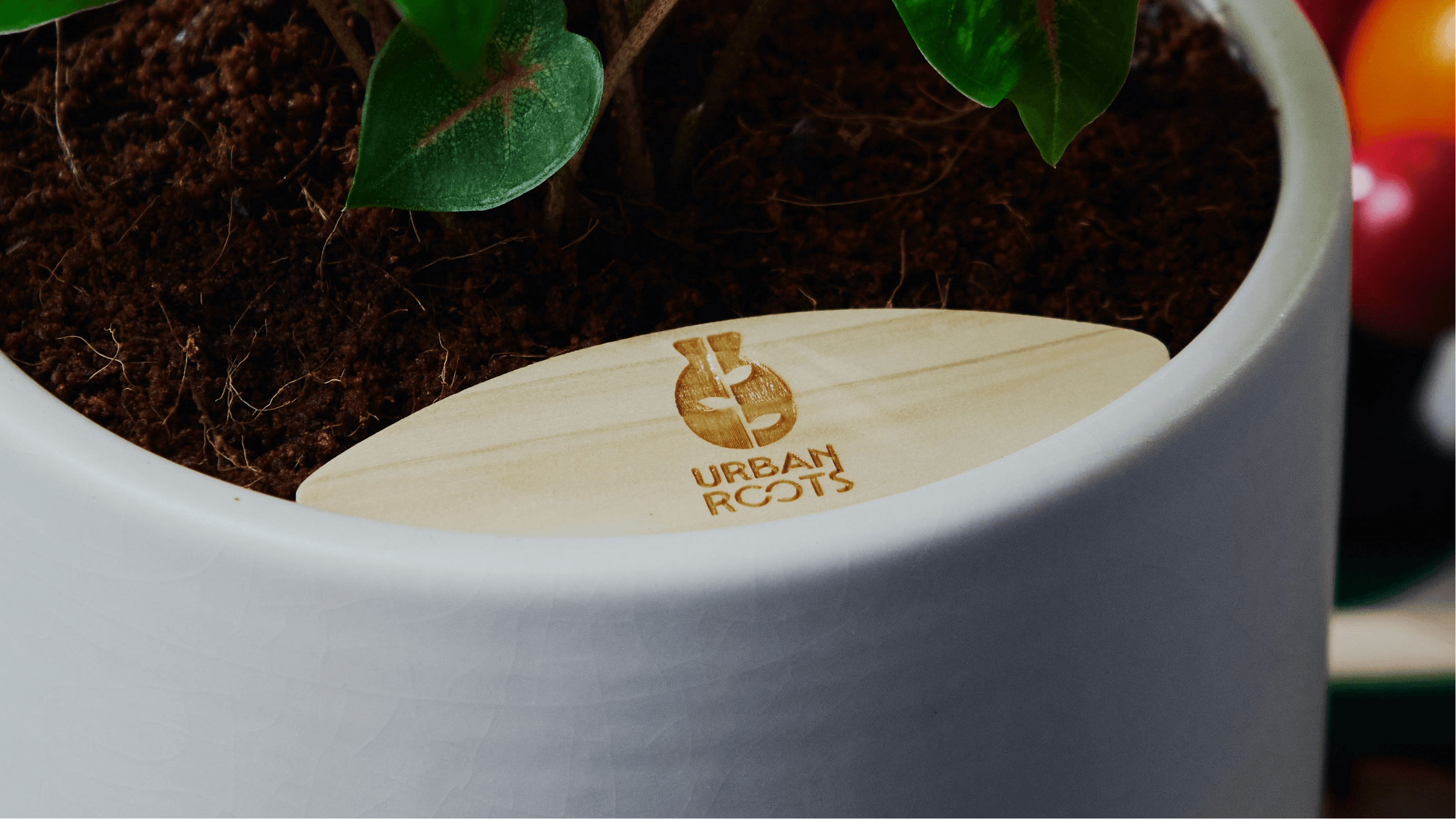 About Us - The Urban Roots Story