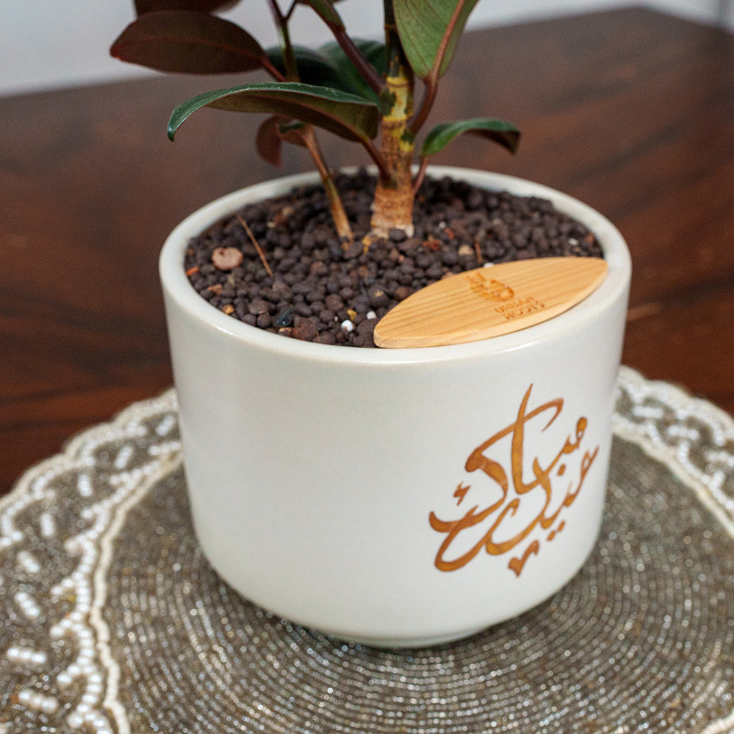 "Eid Mubarak" Limited Edition Haku - Urban Roots X Shatila Scribes