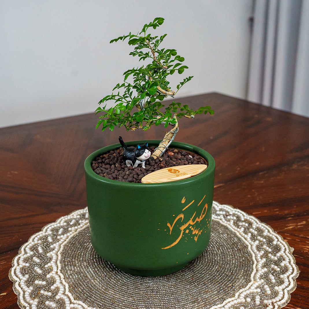 "Sabar" Limited Edition Haku - Urban Roots X Shatila Scribes