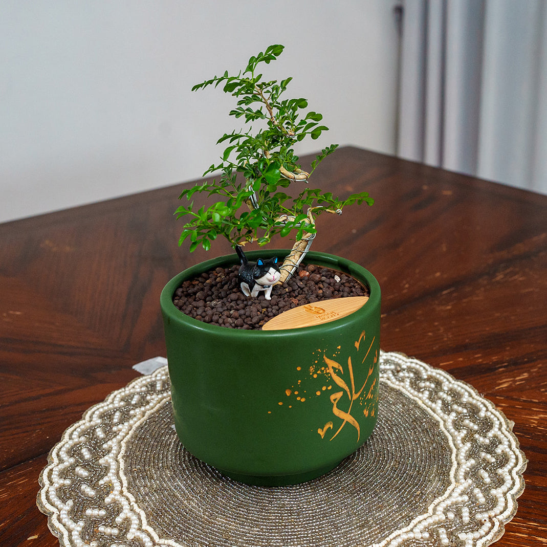 "Salam" Limited Edition Haku - Urban Roots X Shatila Scribes