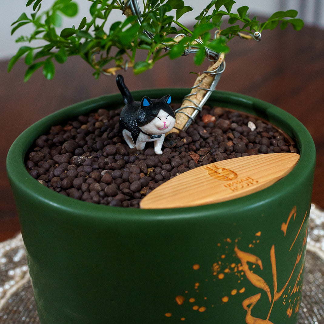 "Salam" Limited Edition Haku - Urban Roots X Shatila Scribes