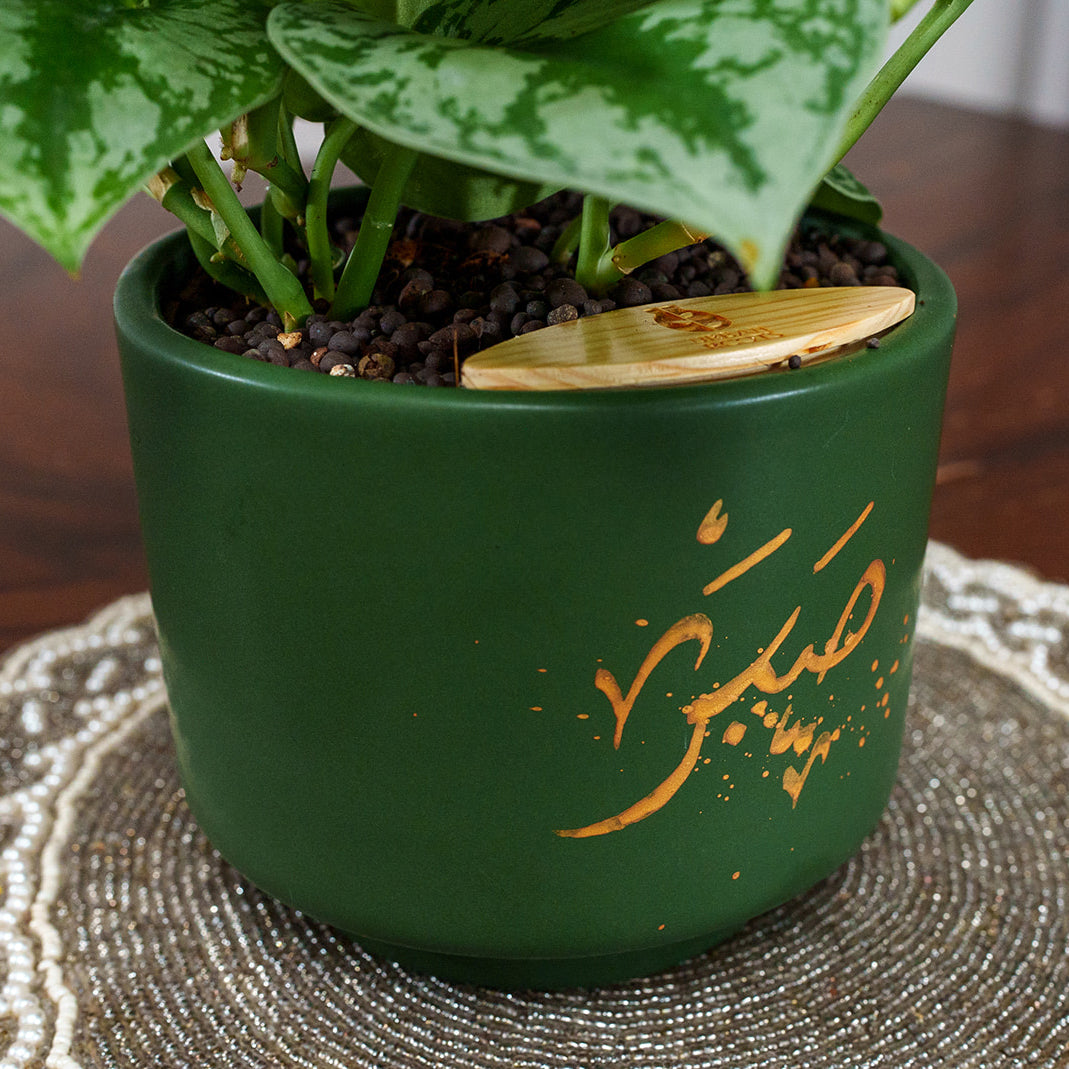 "Sabar" Limited Edition Haku - Urban Roots X Shatila Scribes