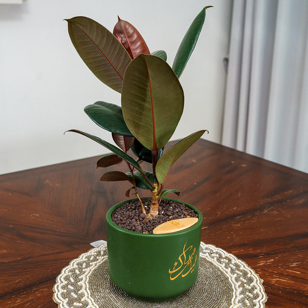 "Eid Mubarak" Limited Edition Haku - Urban Roots X Shatila Scribes