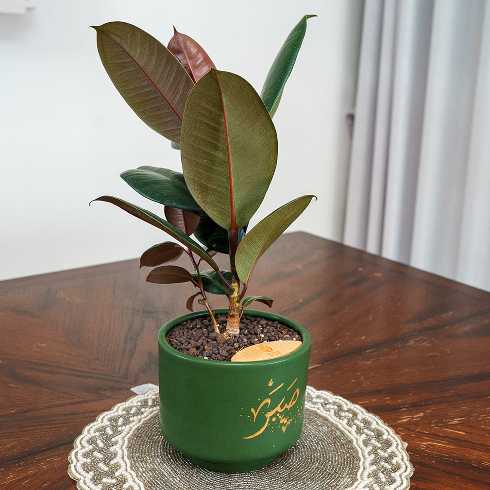 "Sabar" Limited Edition Haku - Urban Roots X Shatila Scribes