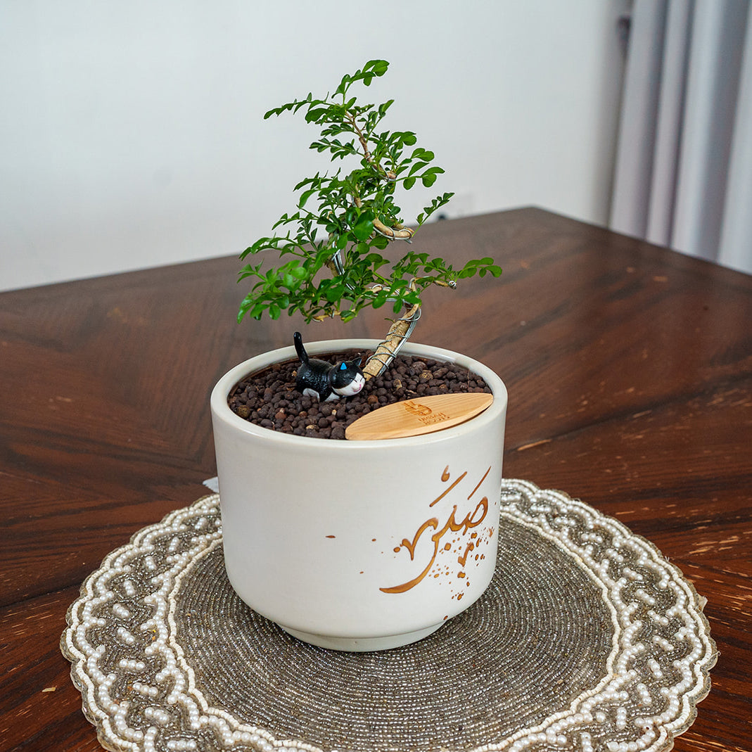 "Sabar" Limited Edition Haku - Urban Roots X Shatila Scribes