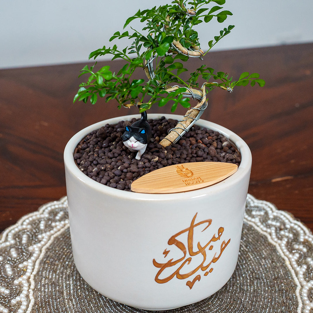 "Eid Mubarak" Limited Edition Haku - Urban Roots X Shatila Scribes