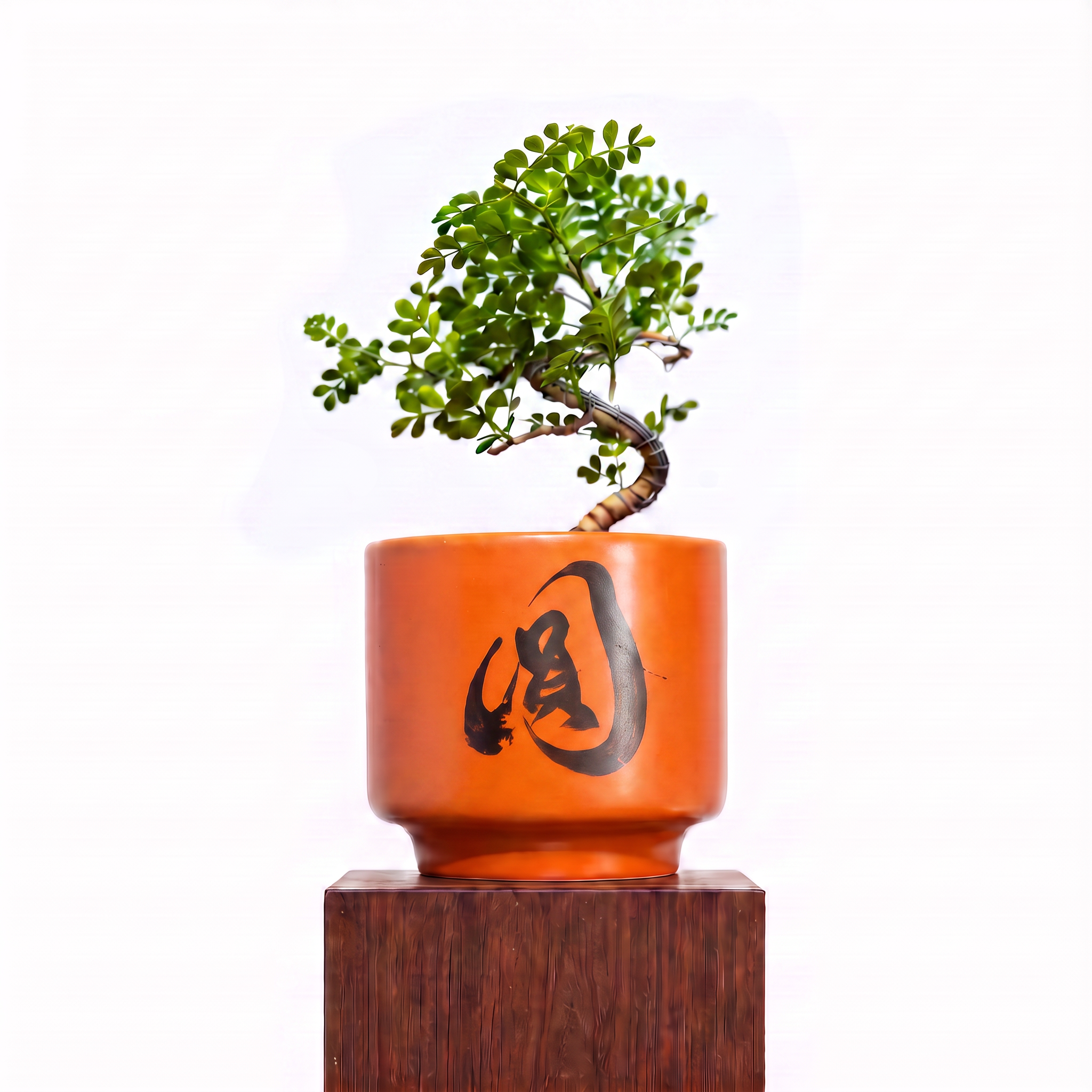 "圓 Yuán" Reunion — Limited Edition Mid-Autumn Haku