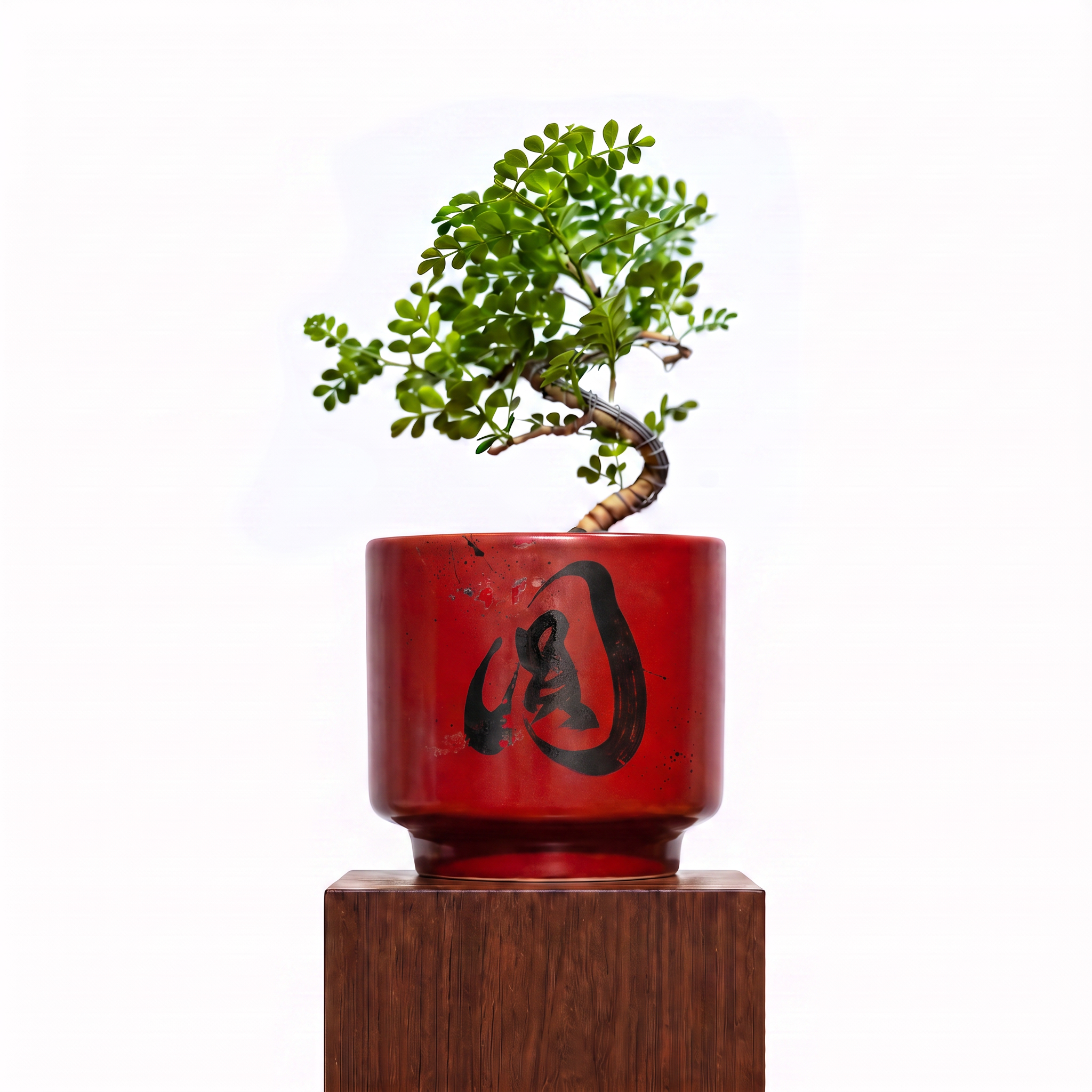 "圓 Yuán" Reunion — Limited Edition Mid-Autumn Haku