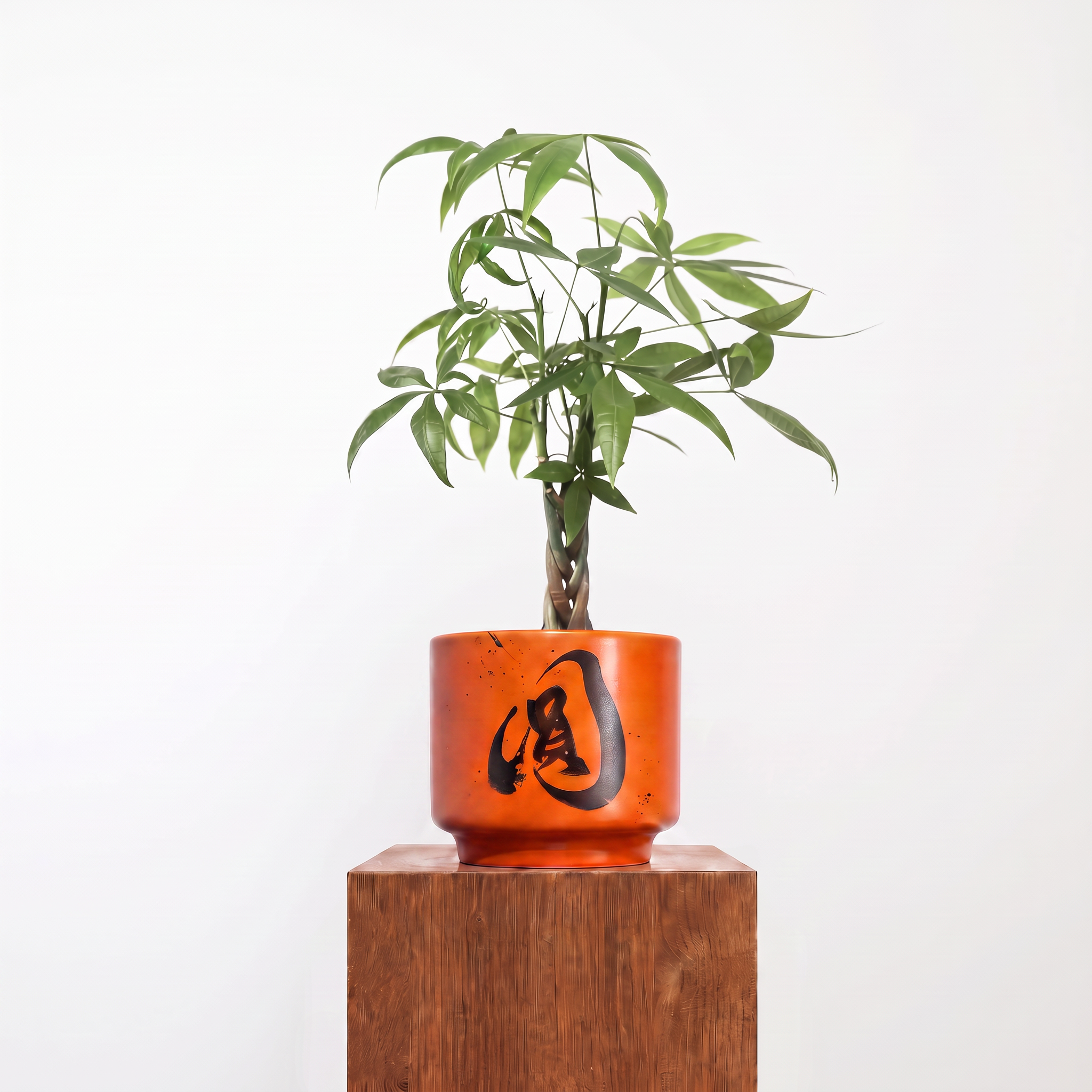 "圓 Yuán" Reunion — Limited Edition Mid-Autumn Haku