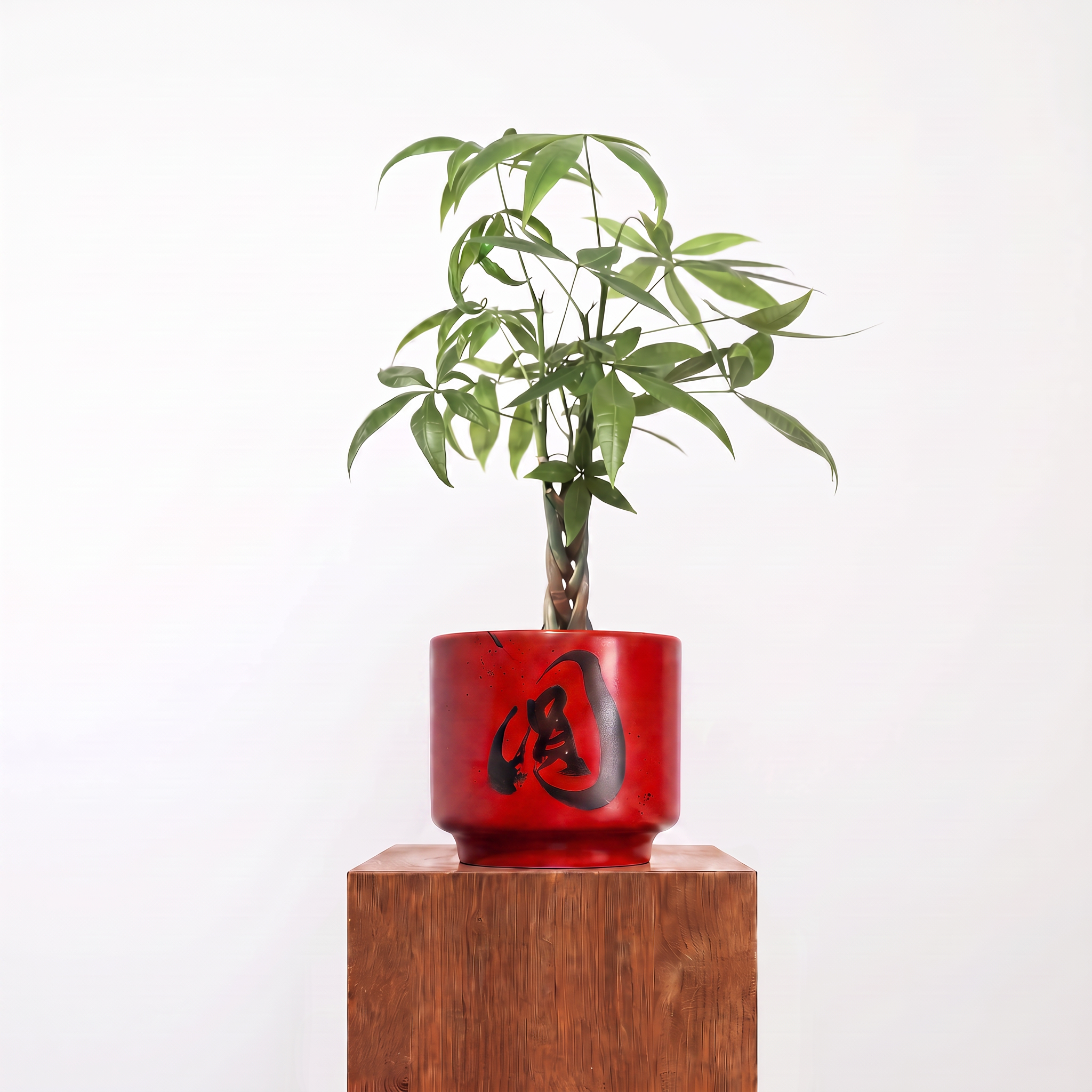 "圓 Yuán" Reunion — Limited Edition Mid-Autumn Haku