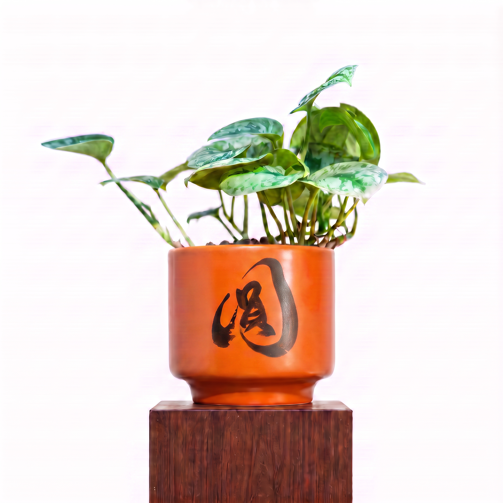 "圓 Yuán" Reunion — Limited Edition Mid-Autumn Haku