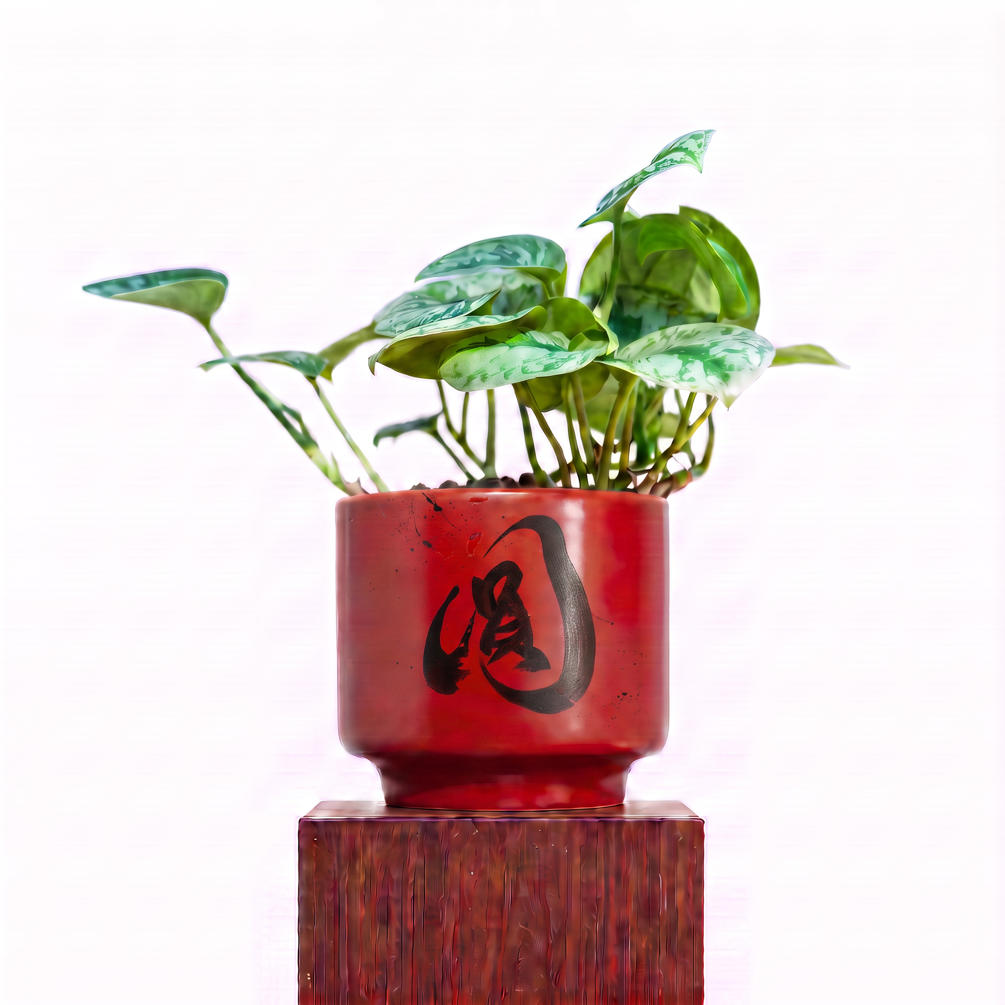 "圓 Yuán" Reunion — Limited Edition Mid-Autumn Haku