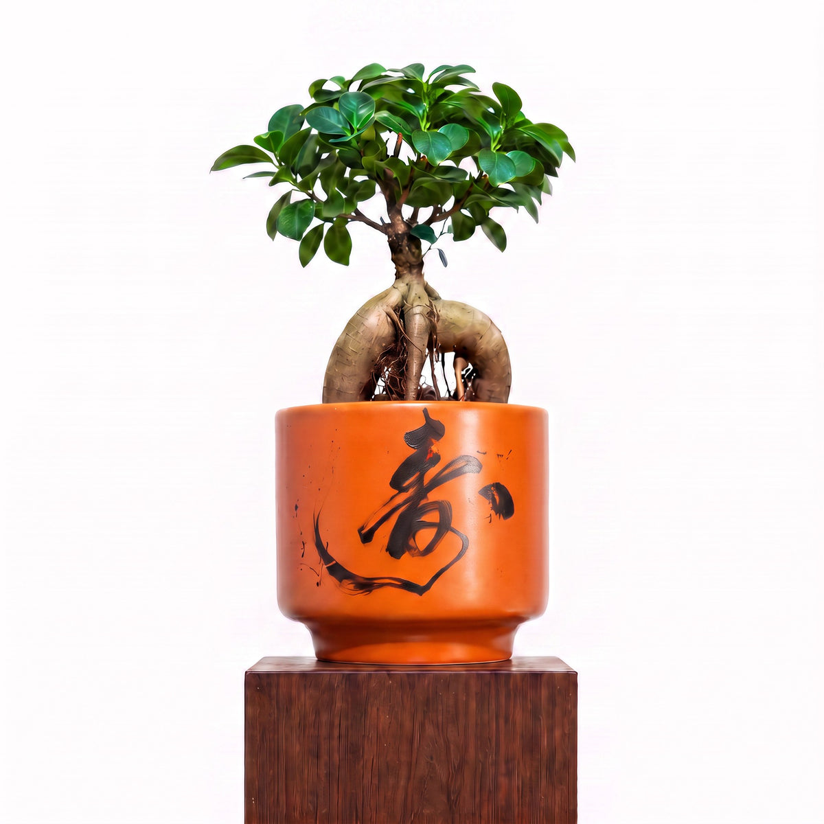 "春 Chūn" Spring — Limited Edition Mid-Autumn Haku