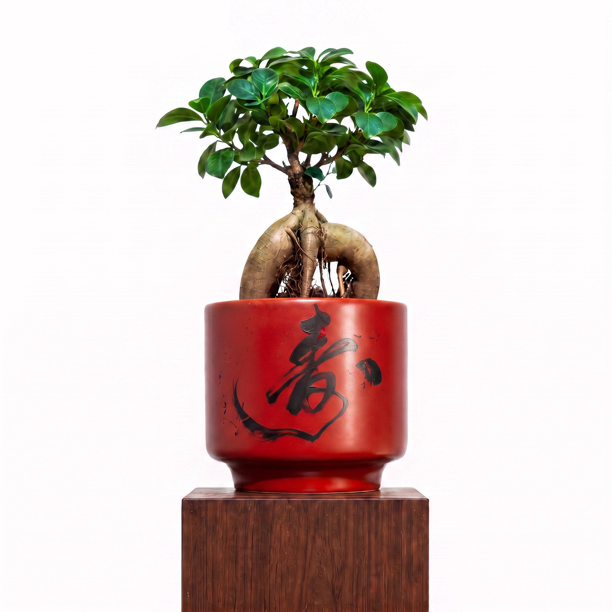 "壽 Shòu" Longevity — Limited Edition Mid-Autumn Haku
