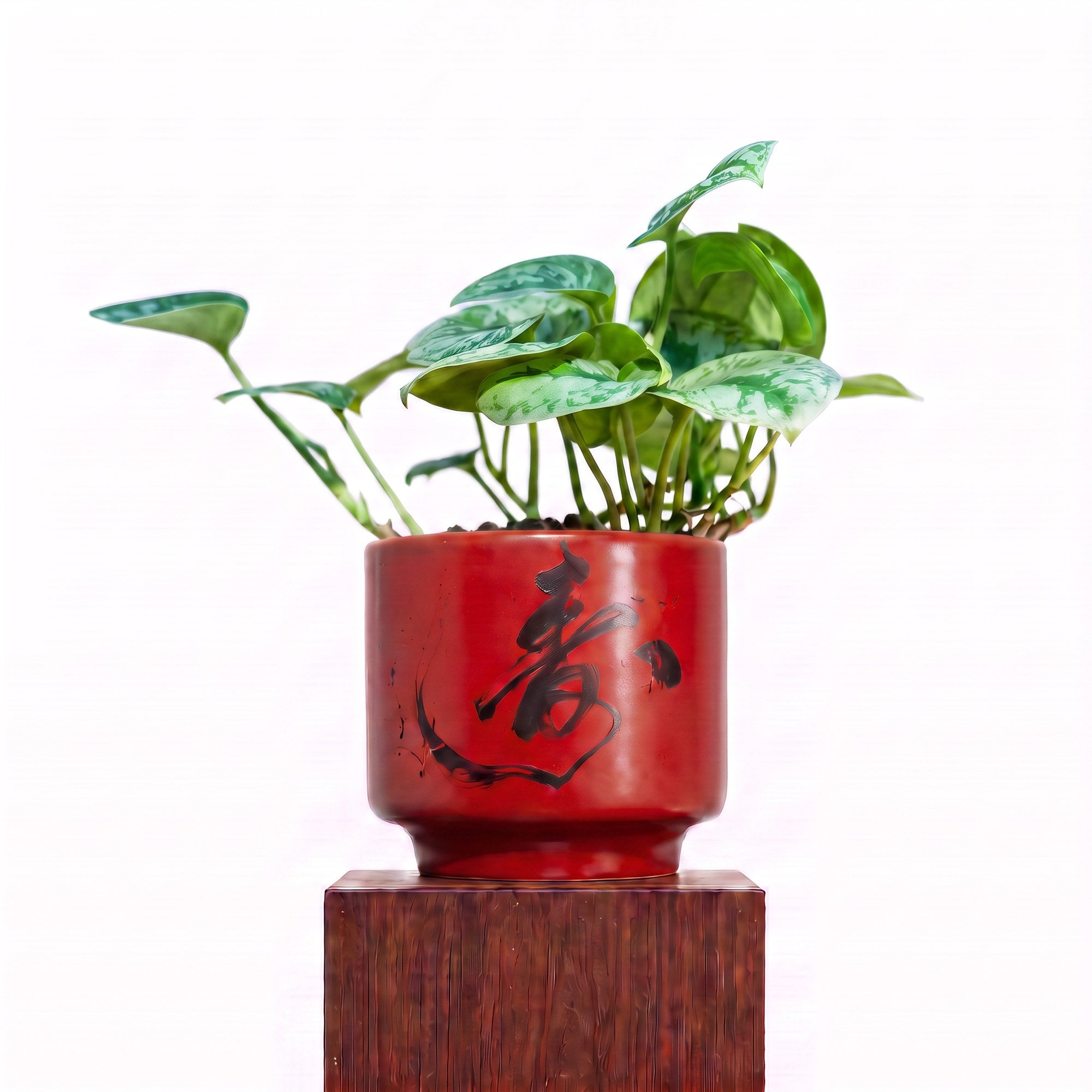 "春 Chūn" Spring — Limited Edition Mid-Autumn Haku